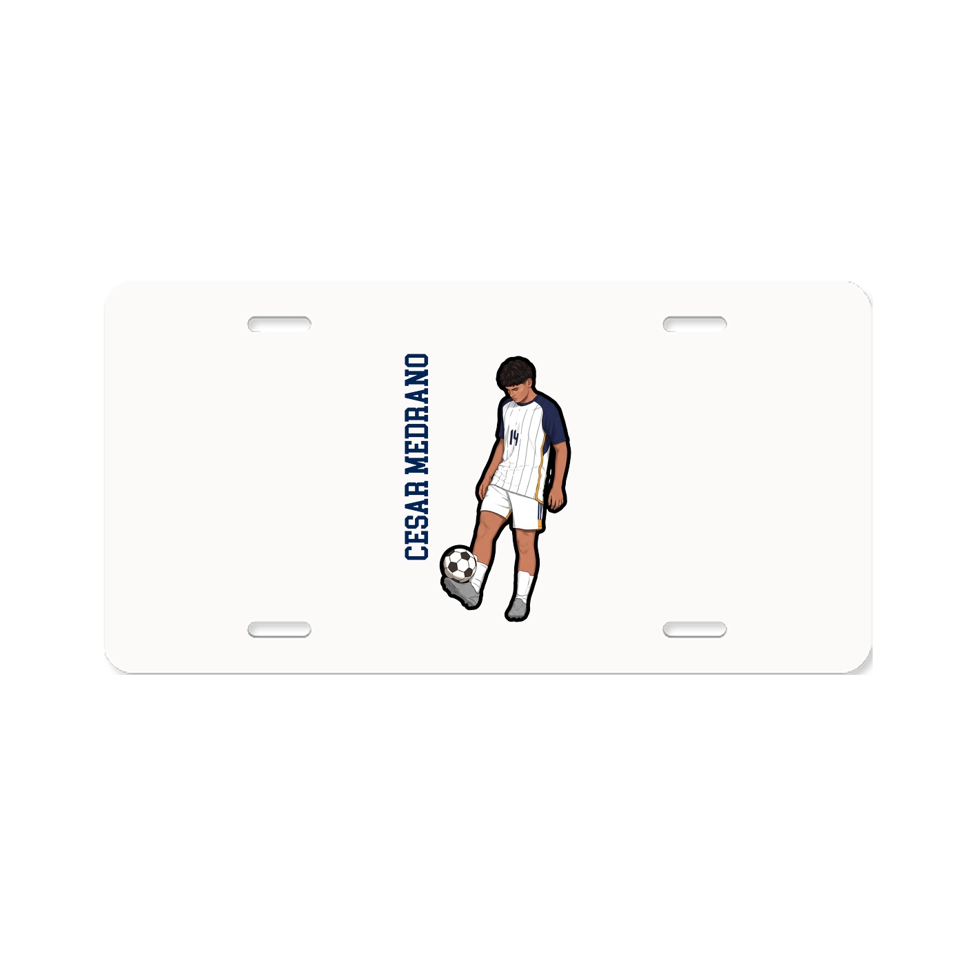 License Plate