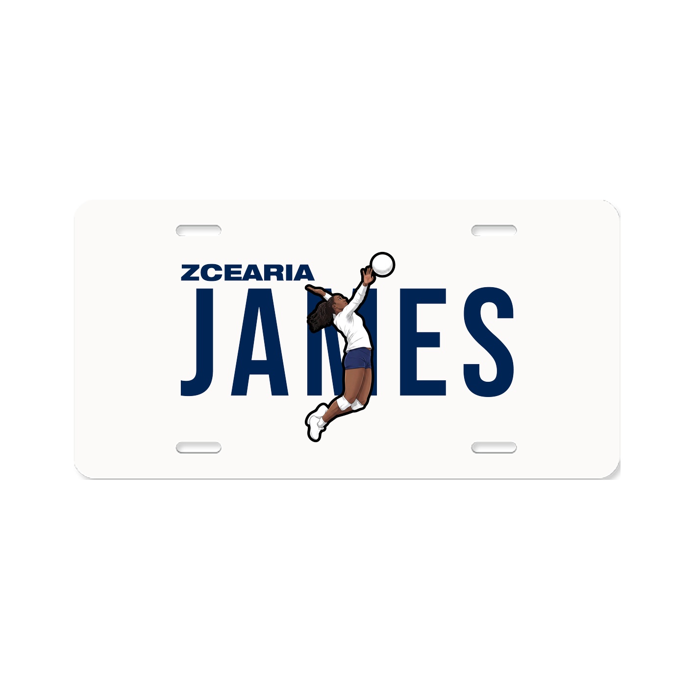 License Plate