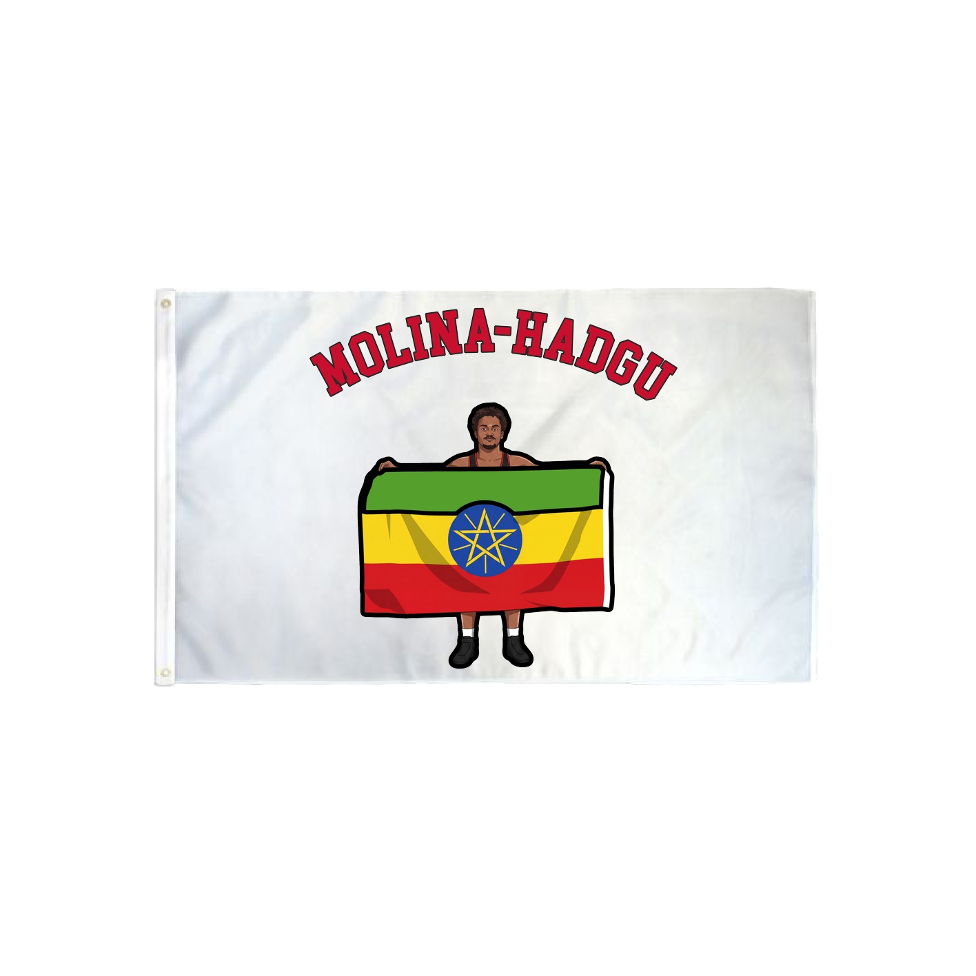 3x5 Flag — Shirsey Arch in Classic