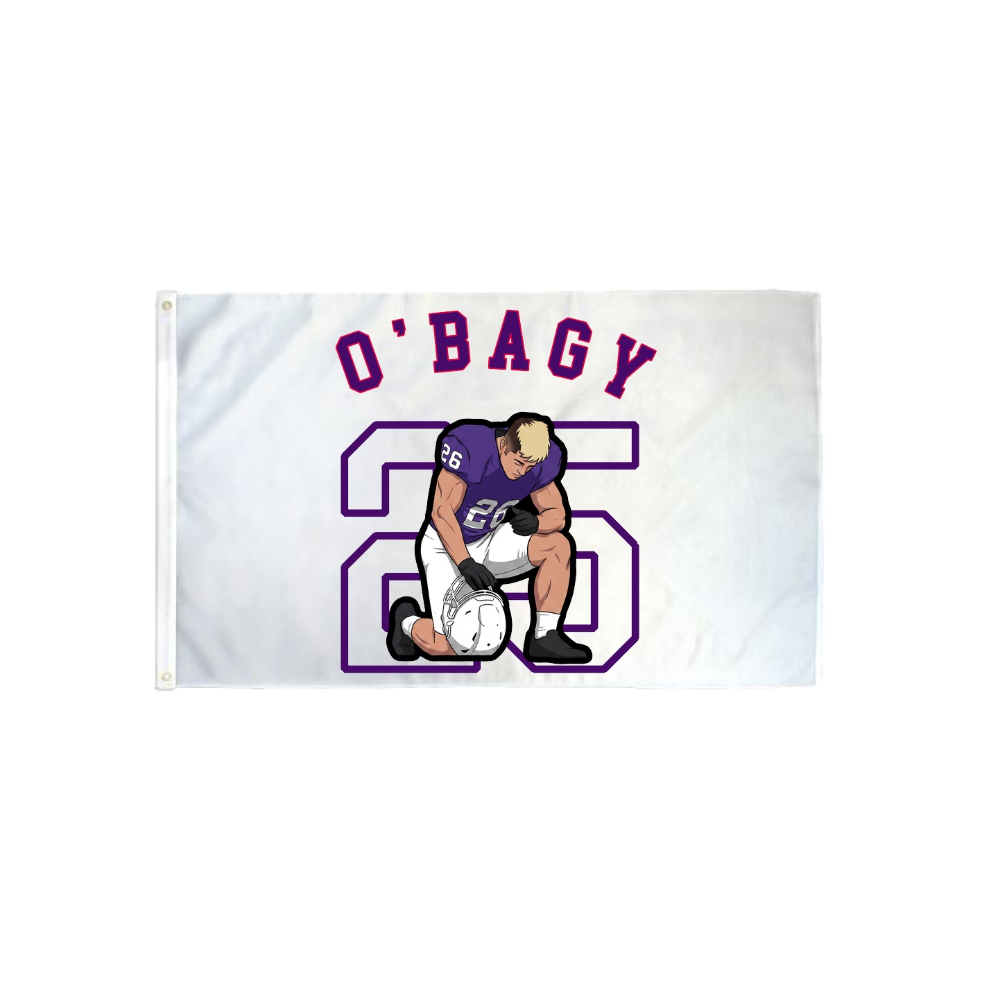 3x5 Flag — Shirsey Arch in Classic