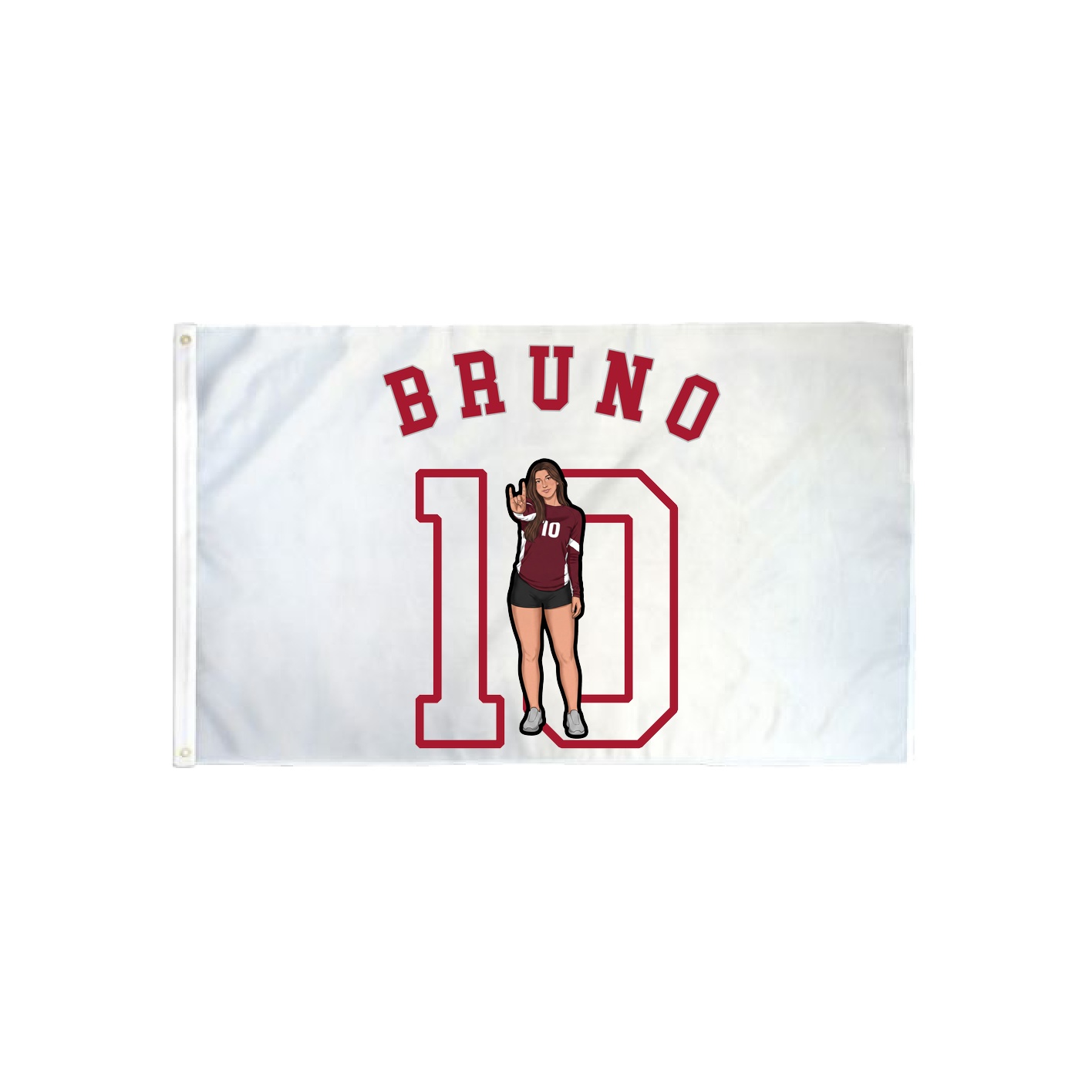 3x5 Flag — Shirsey Arch in Classic