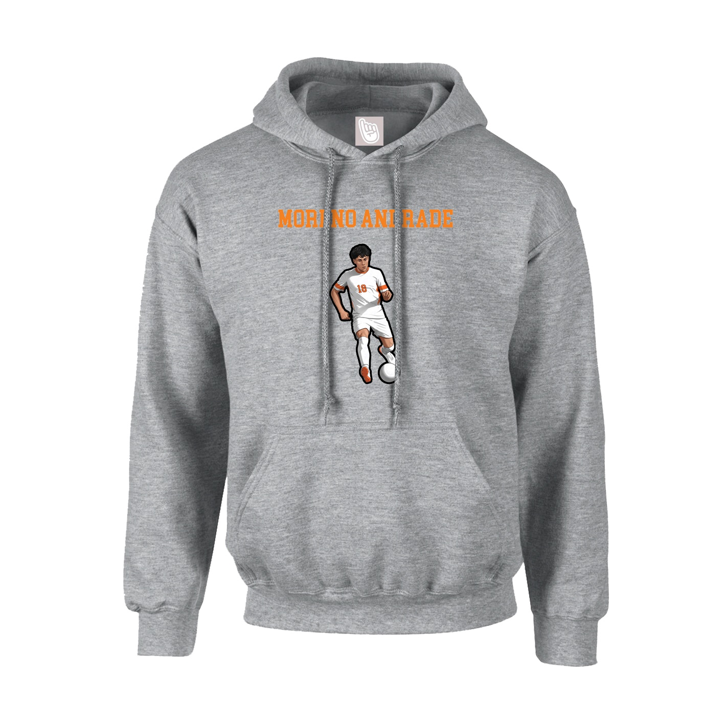 Hoodie — Shirsey in Grey