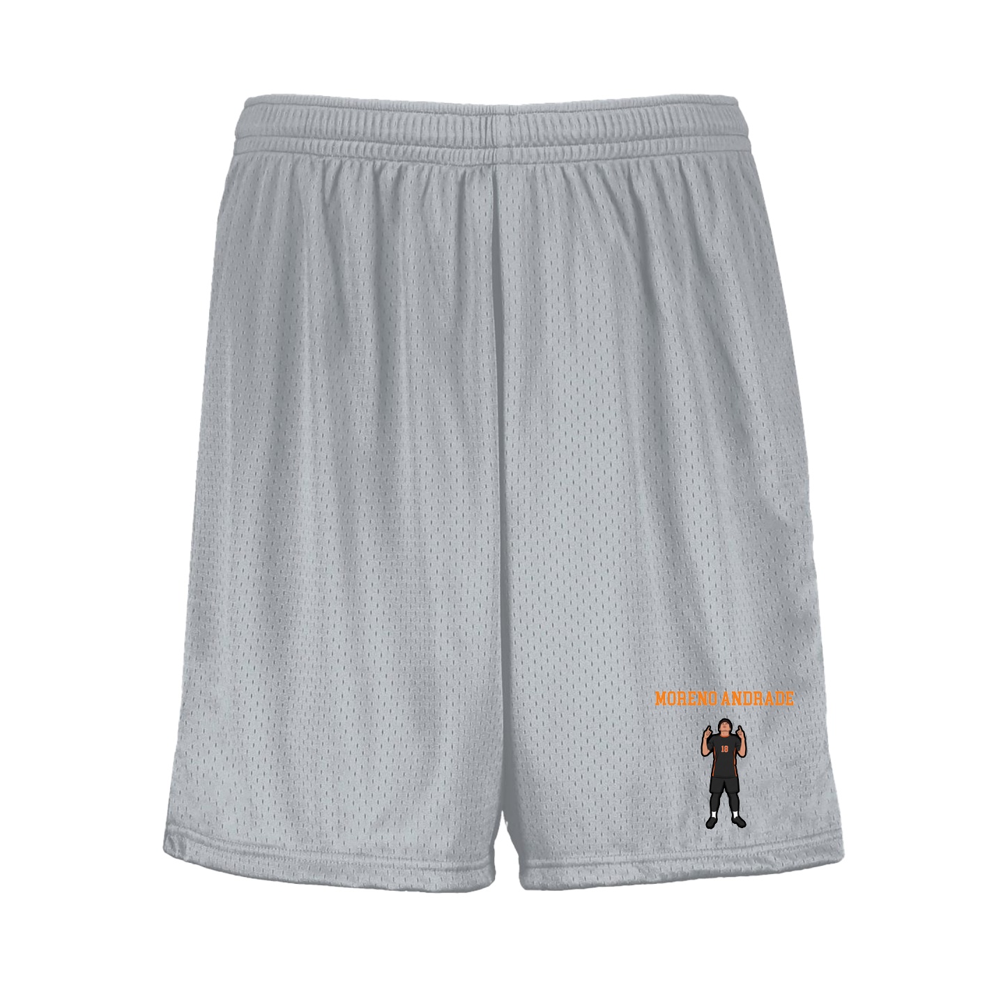 Shorts — Shirsey in Silver