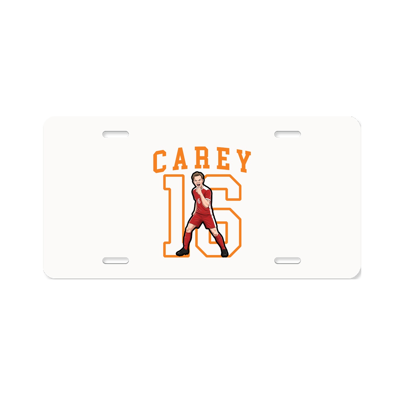 Aluminum License Plate