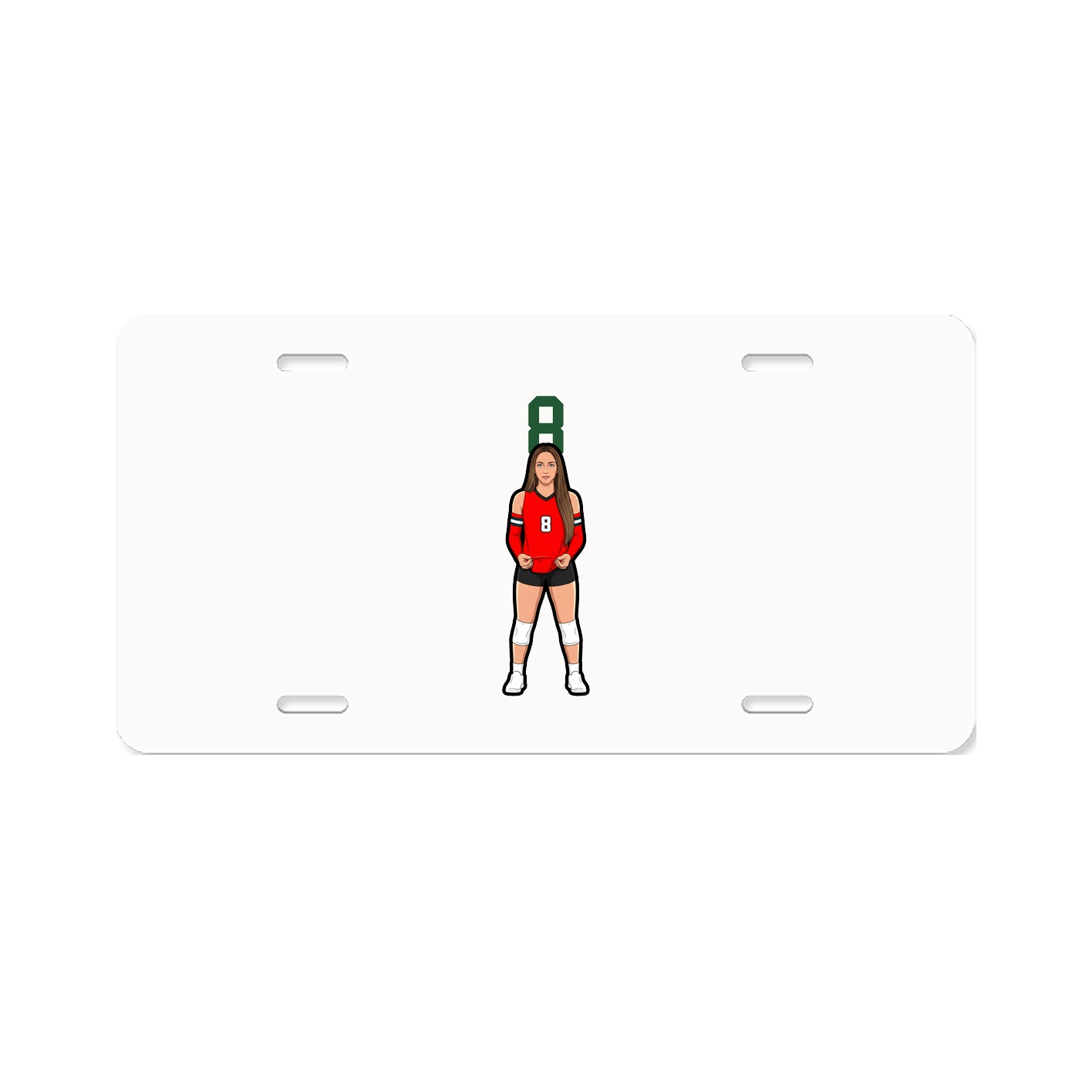 Aluminum License Plate