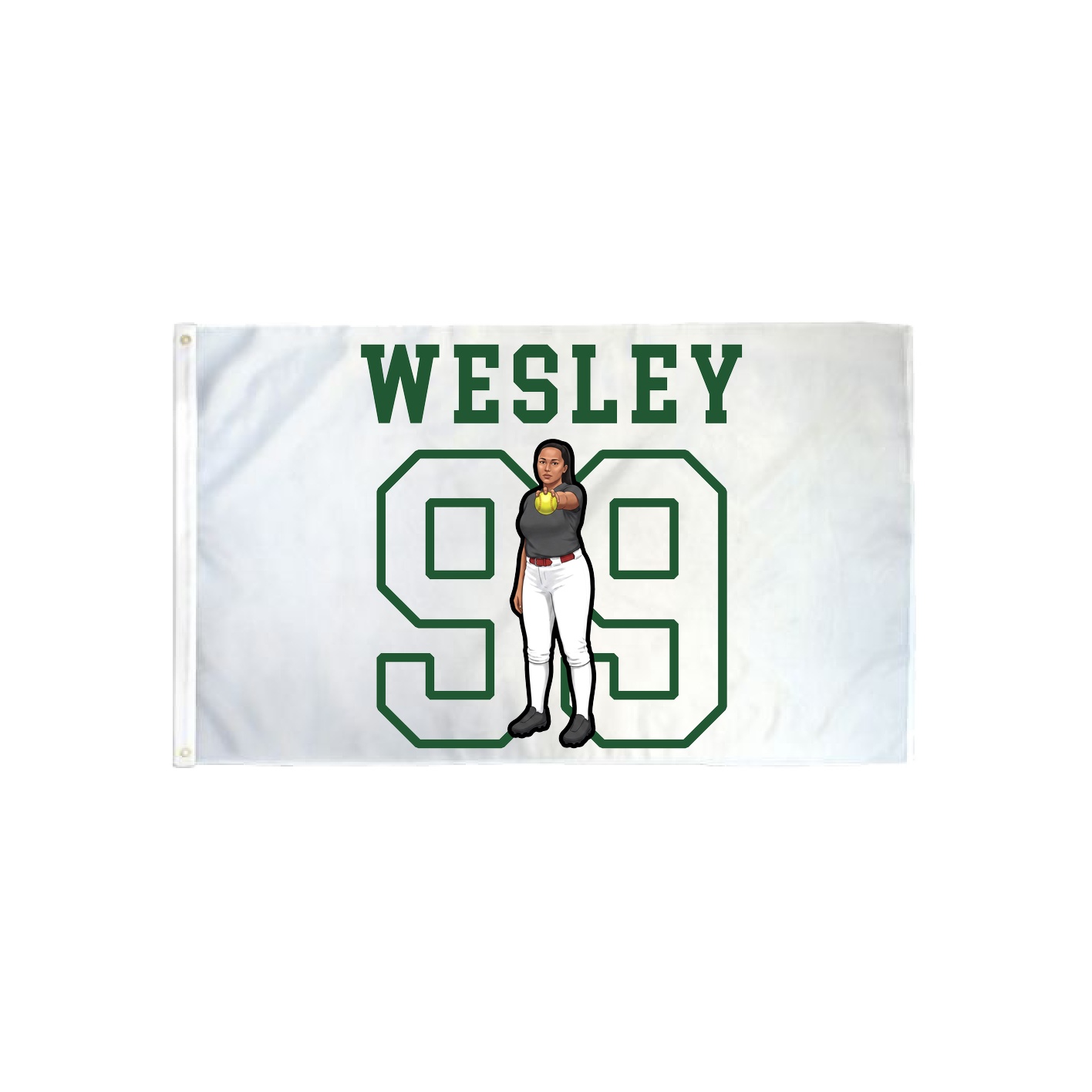 3x5 Flag — Shirsey in Classic