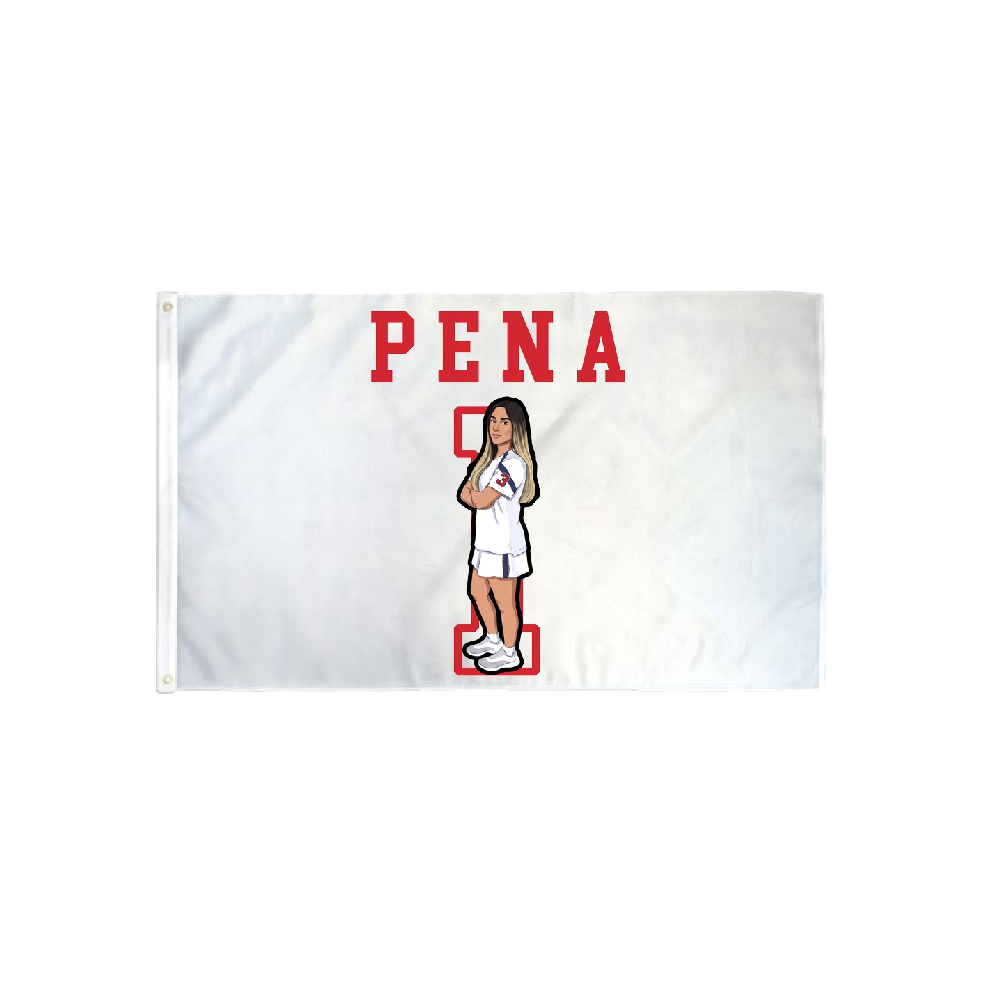 3x5 Flag — Shirsey in Classic