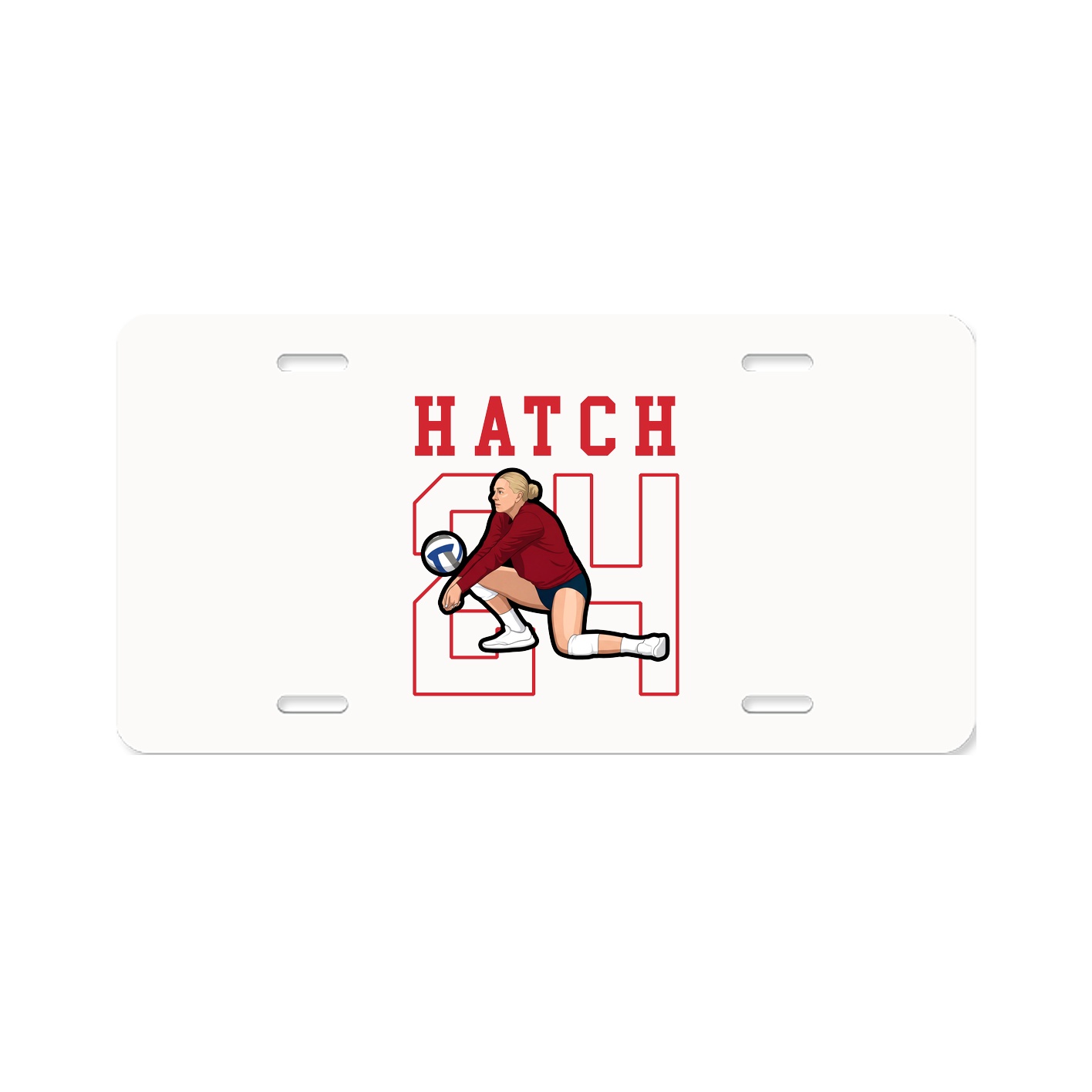 License Plate