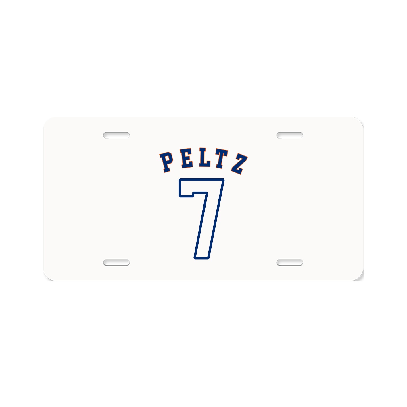 License Plate