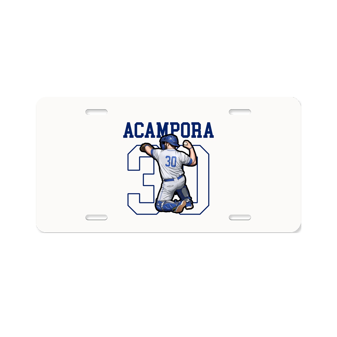 License Plate