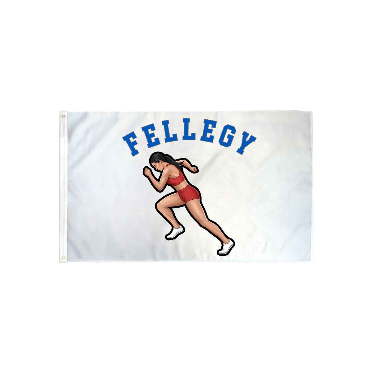 3x5 Flag — Shirsey Arch in Classic
