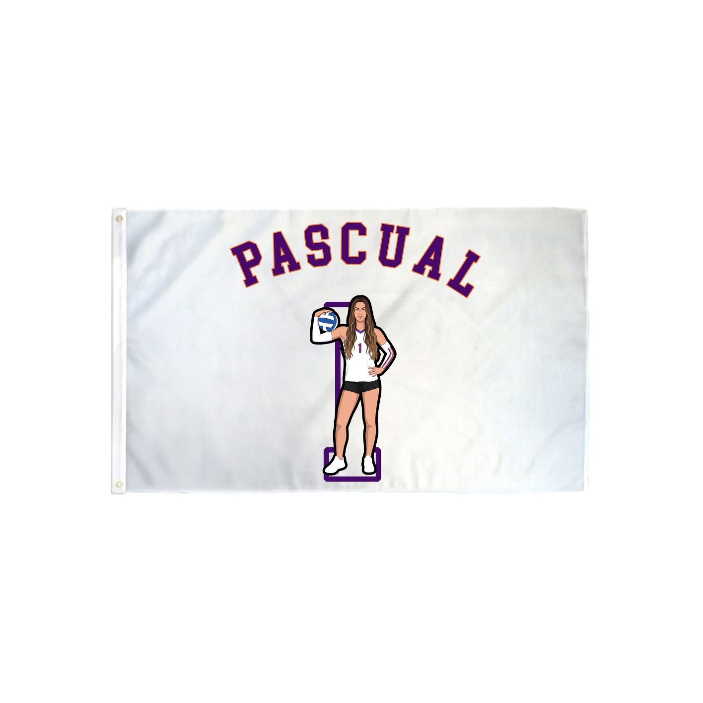 3x5 Flag — Shirsey Arch in Classic