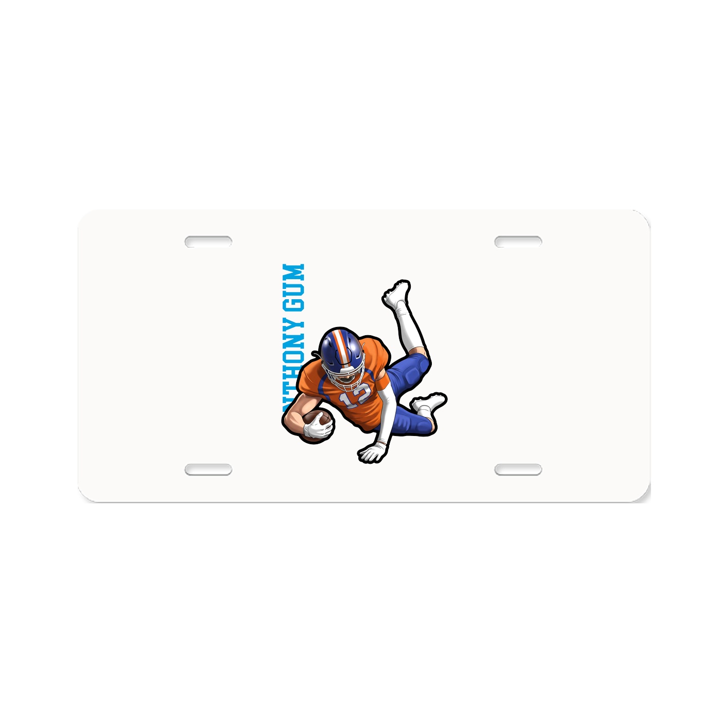 Aluminum License Plate