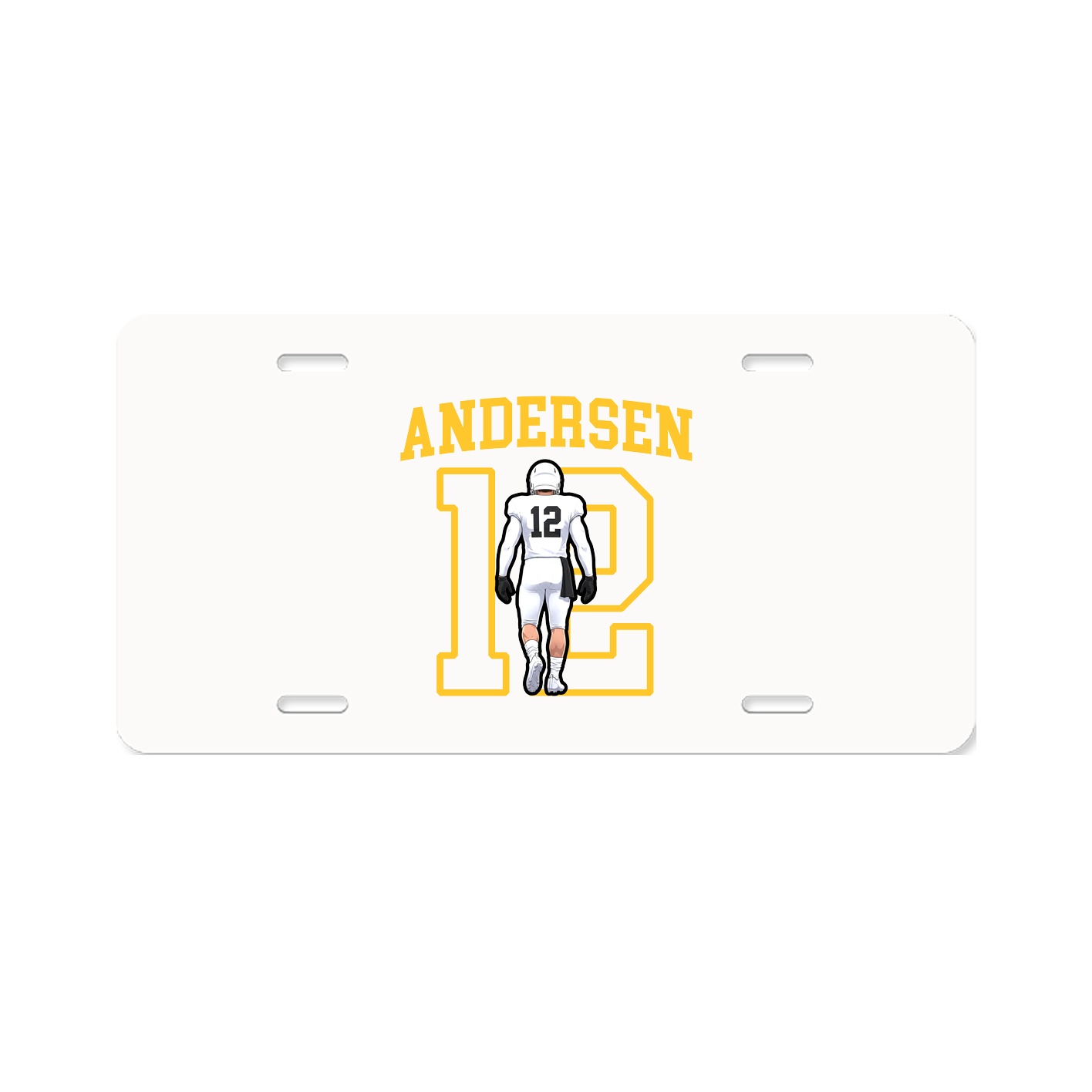 Aluminum License Plate