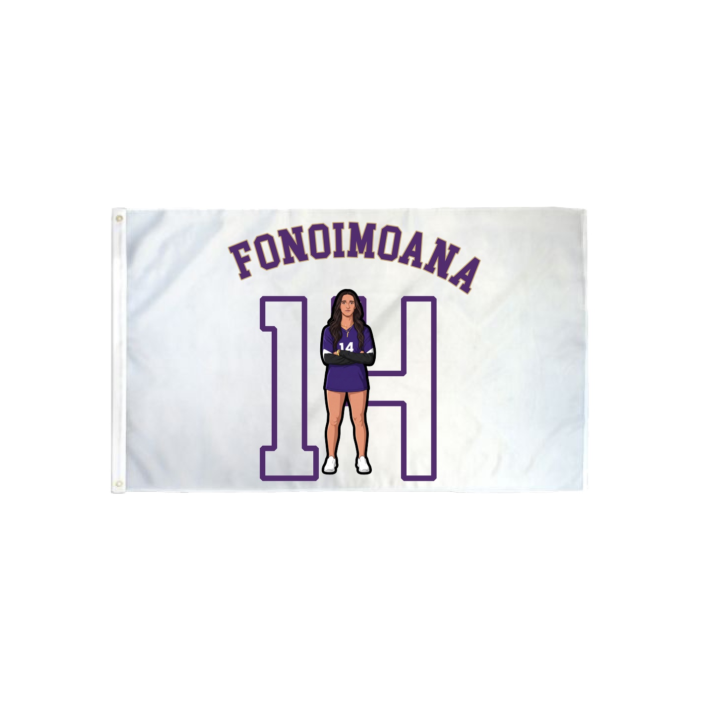 3x5 Flag — Shirsey Arch in Classic