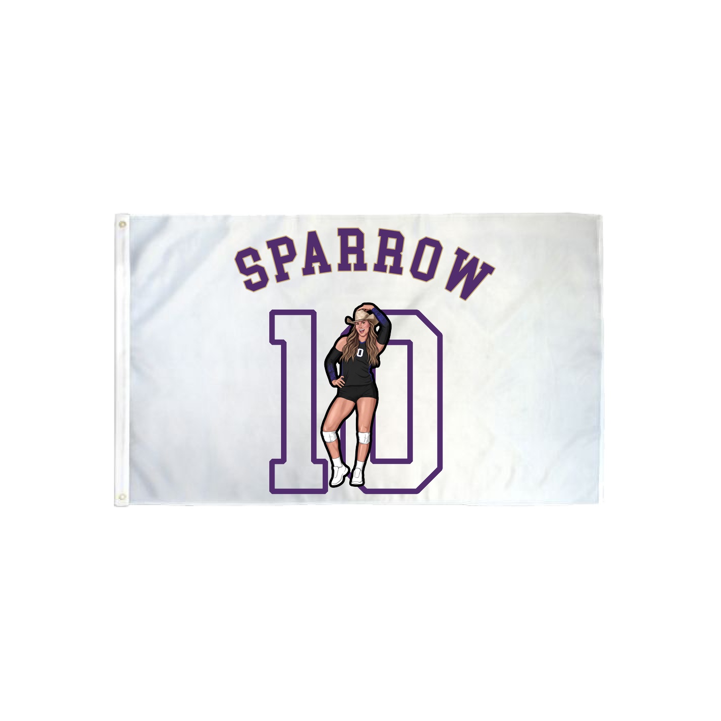 3x5 Flag — Shirsey Arch in Classic
