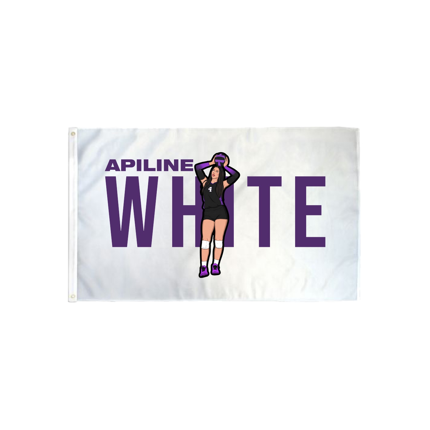3x5 Flag