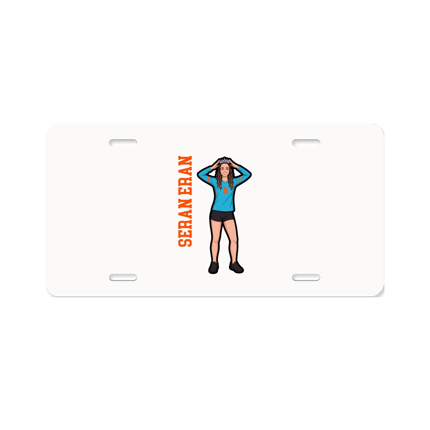 License Plate