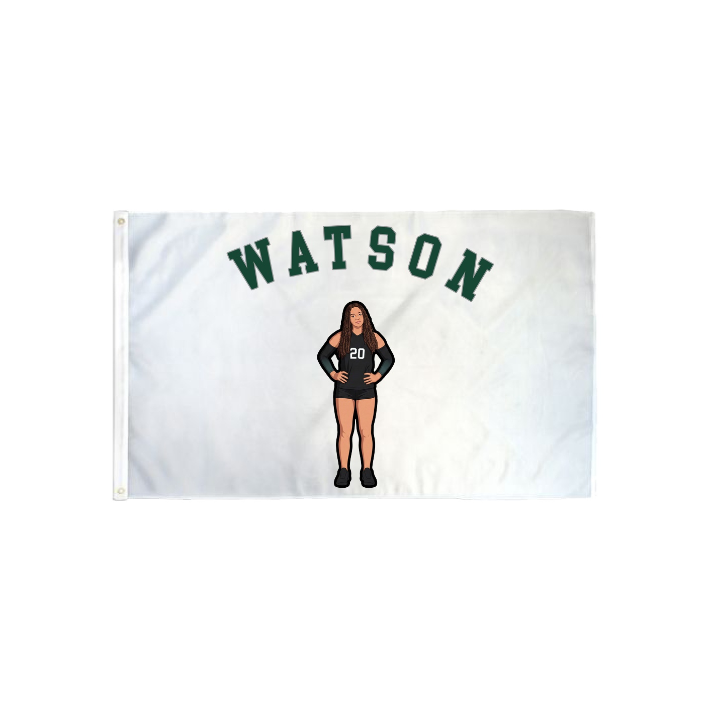 3x5 Flag — Shirsey Arch in Classic