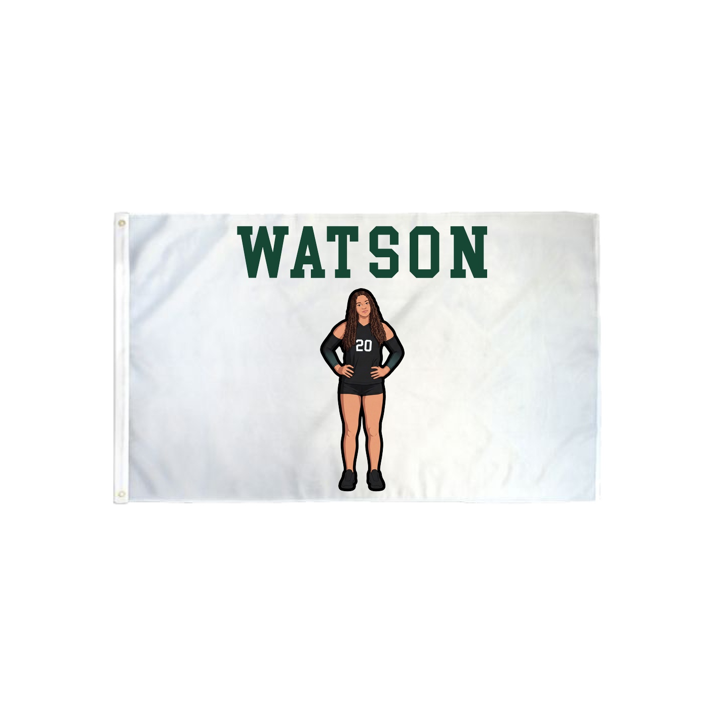 3x5 Flag — Shirsey in Classic