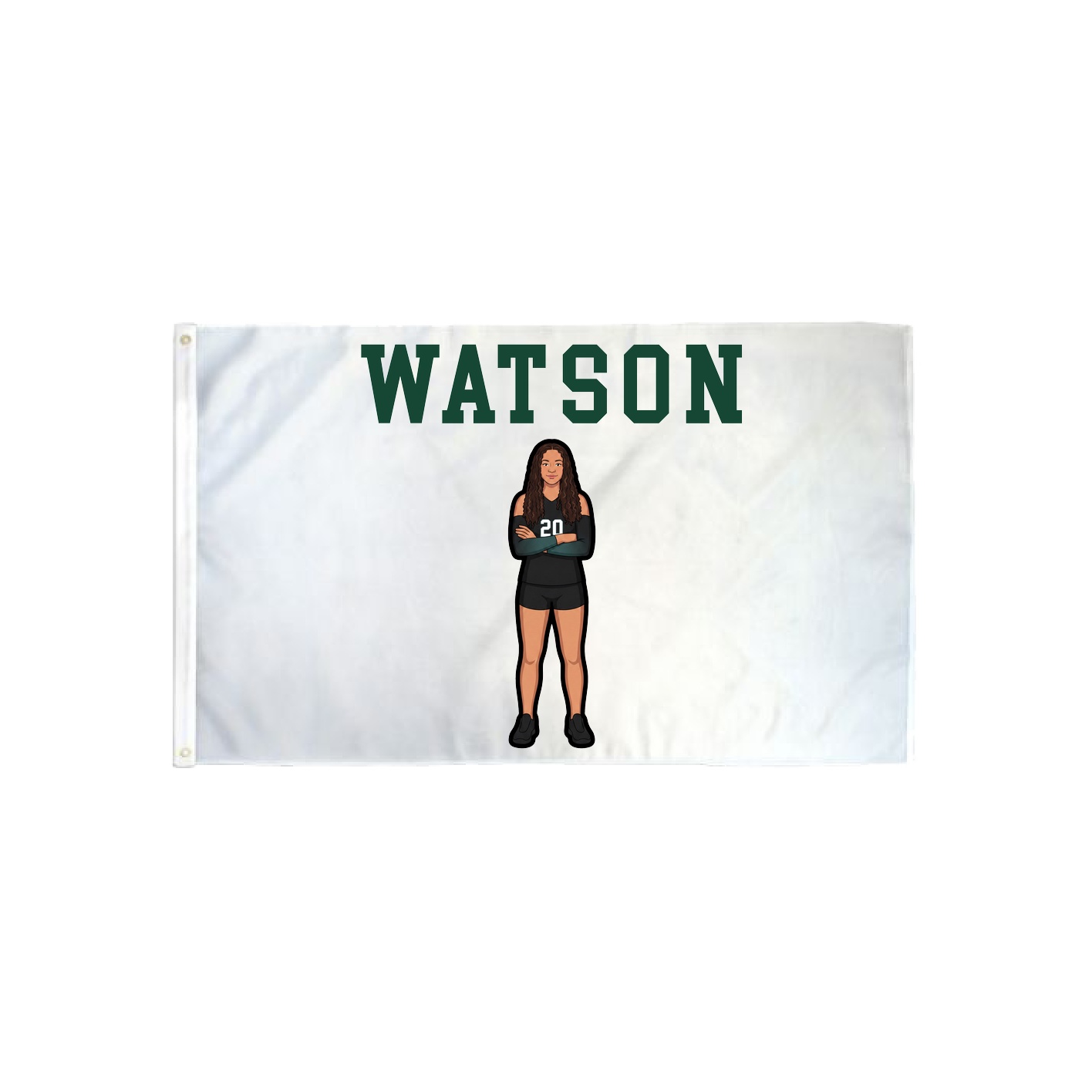 3x5 Flag — Shirsey in Classic