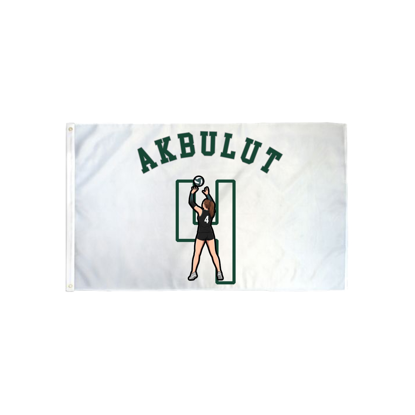 3x5 Flag — Shirsey Arch in Classic