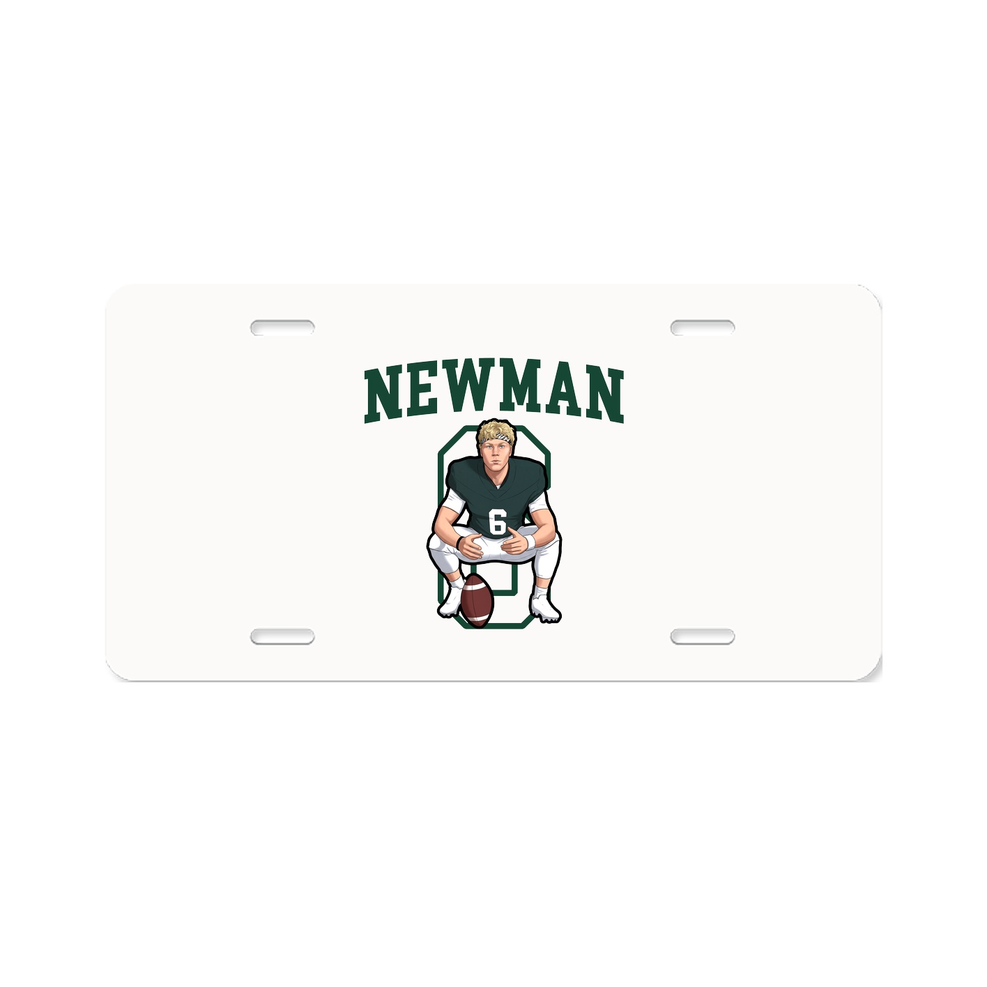 Aluminum License Plate