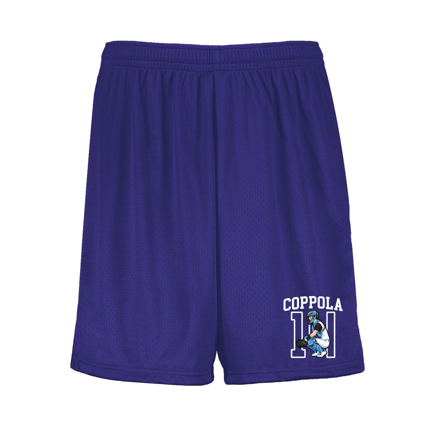 Shorts — Shirsey in Purple