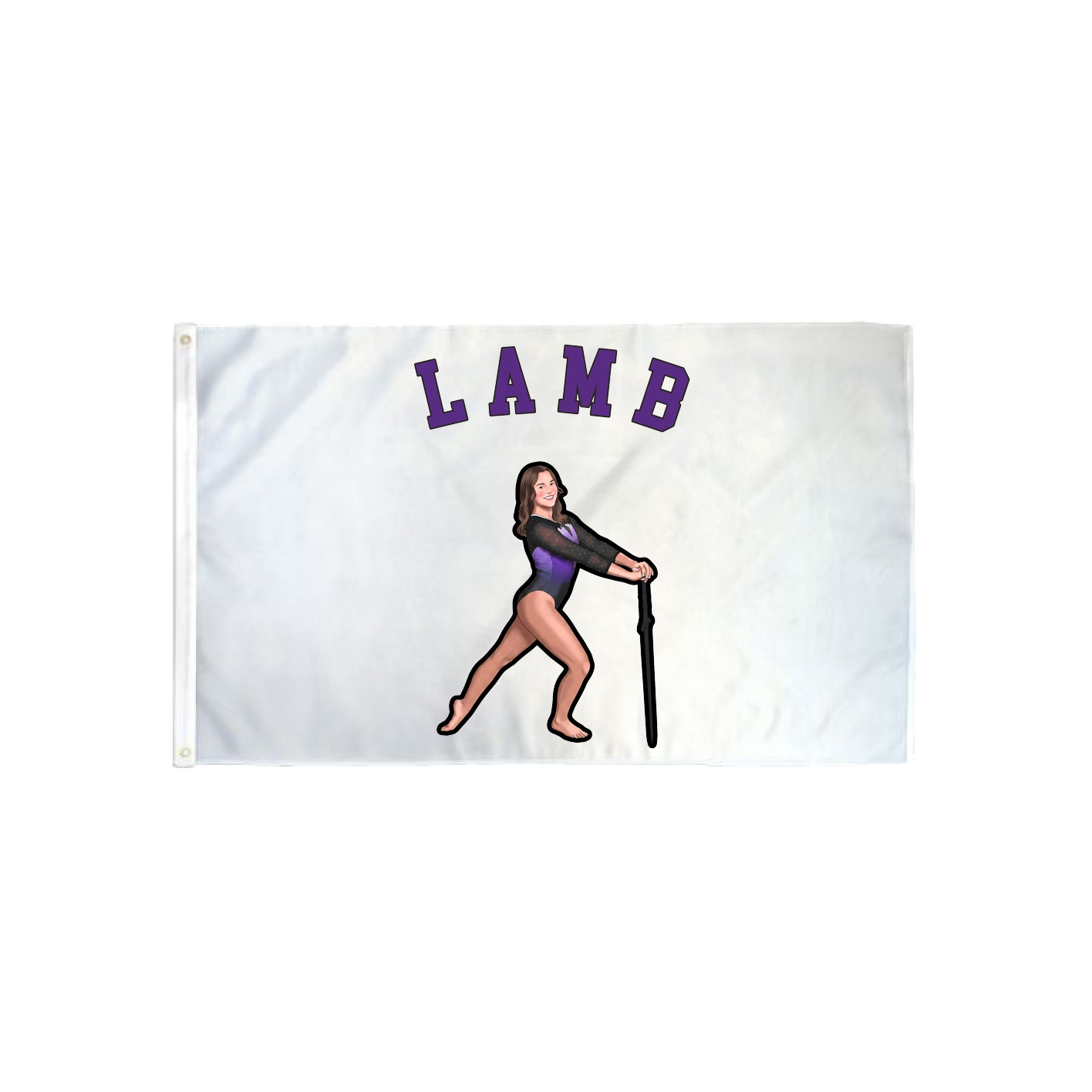 3x5 Flag — Shirsey Arch in Classic