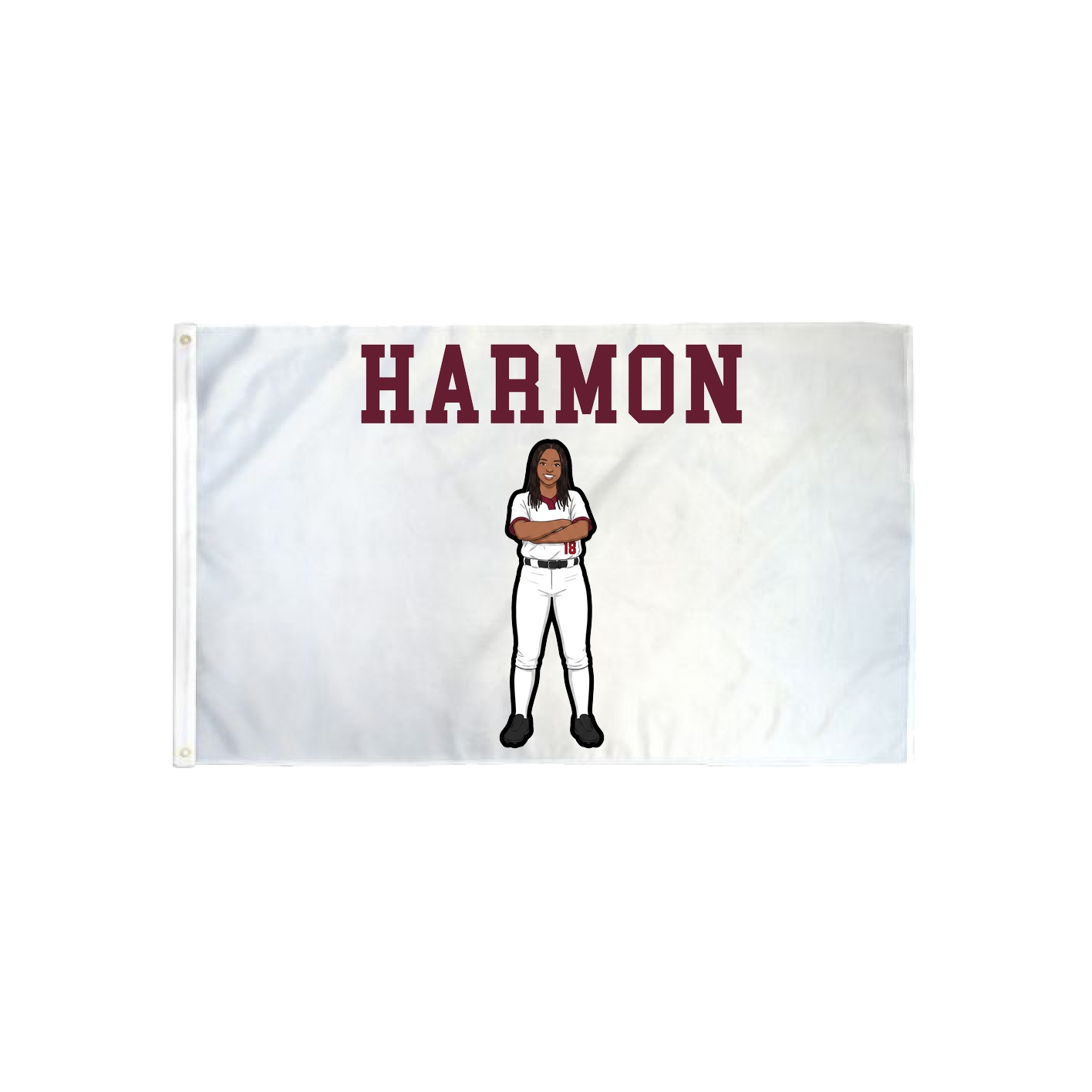 3x5 Flag — Shirsey in Classic