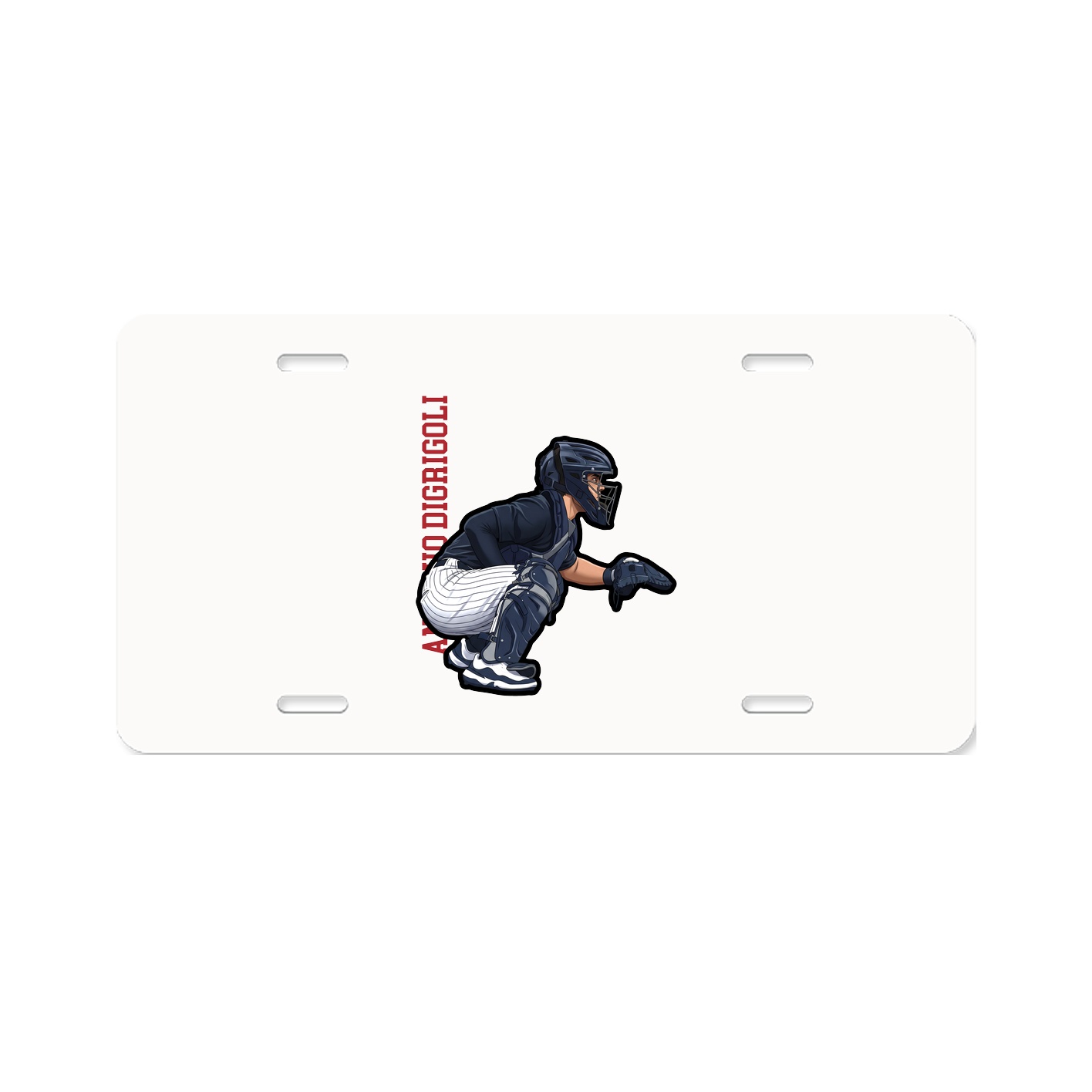Aluminum License Plate