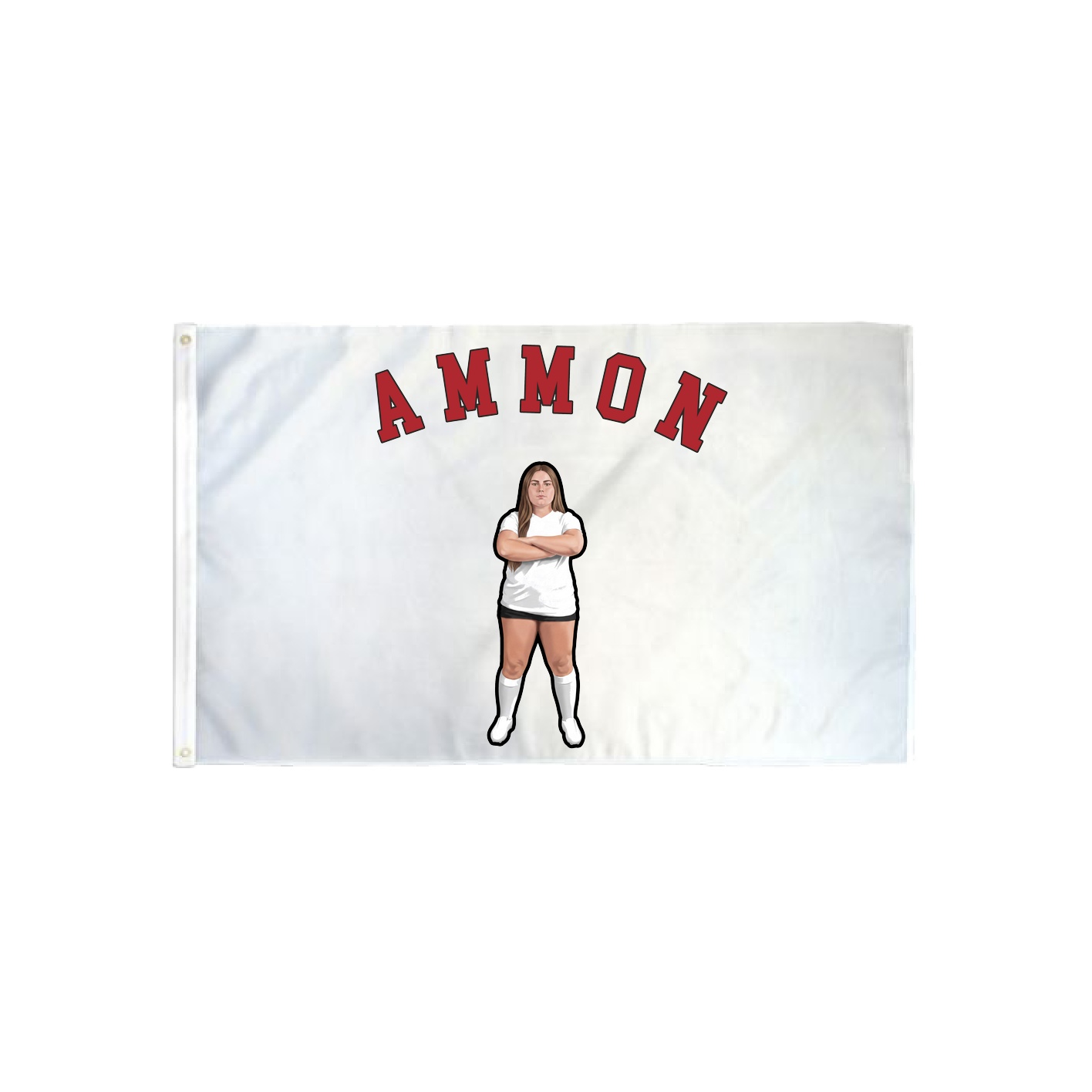 3x5 Flag — Shirsey Arch in Classic