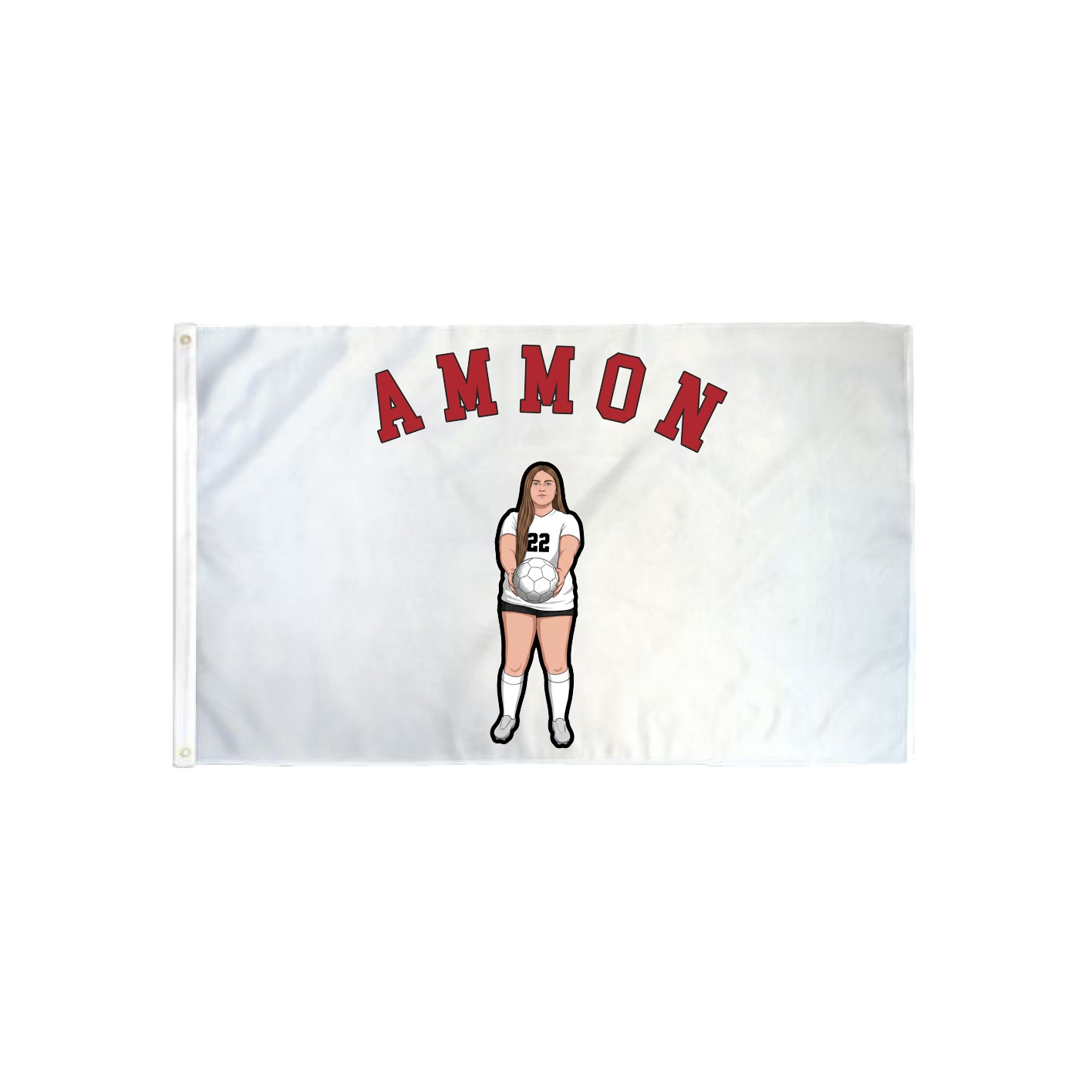 3x5 Flag — Shirsey Arch in Classic
