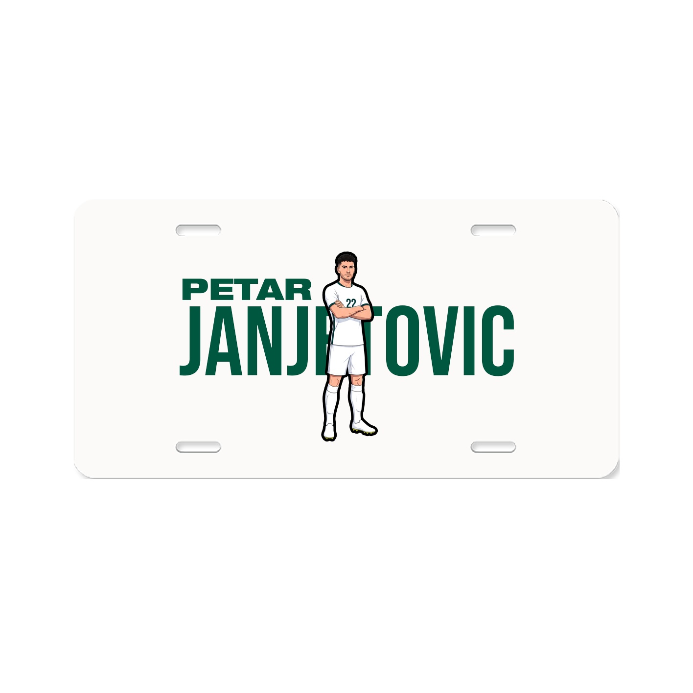 License Plate
