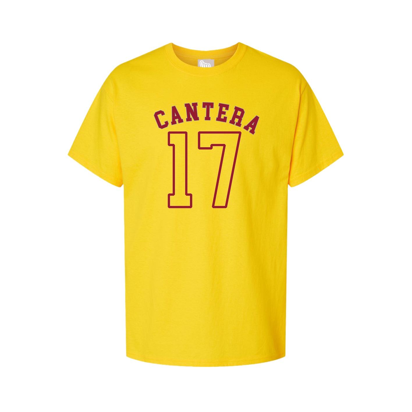 Tee — Shirsey Arch in Gold