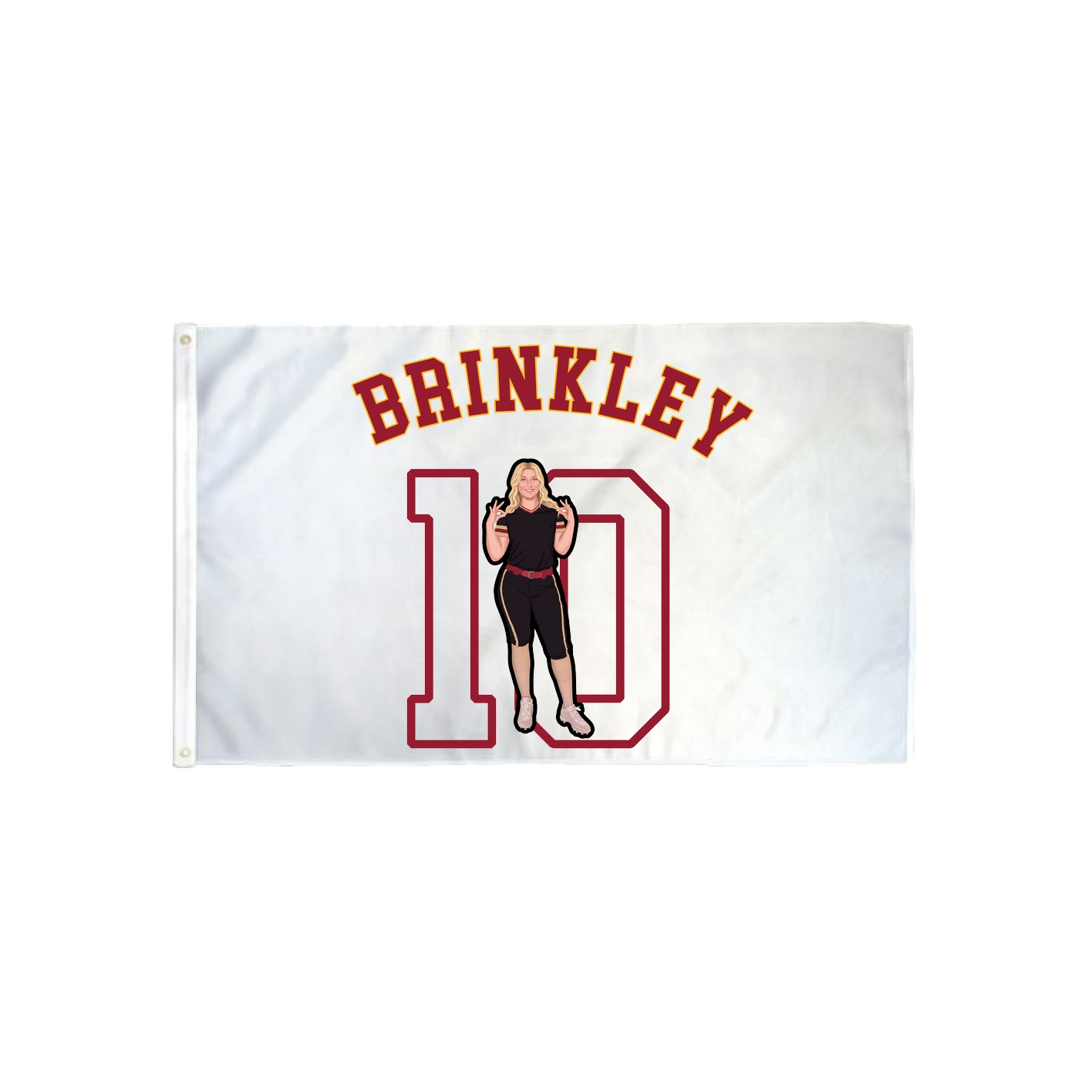 3x5 Flag — Shirsey Arch in Classic
