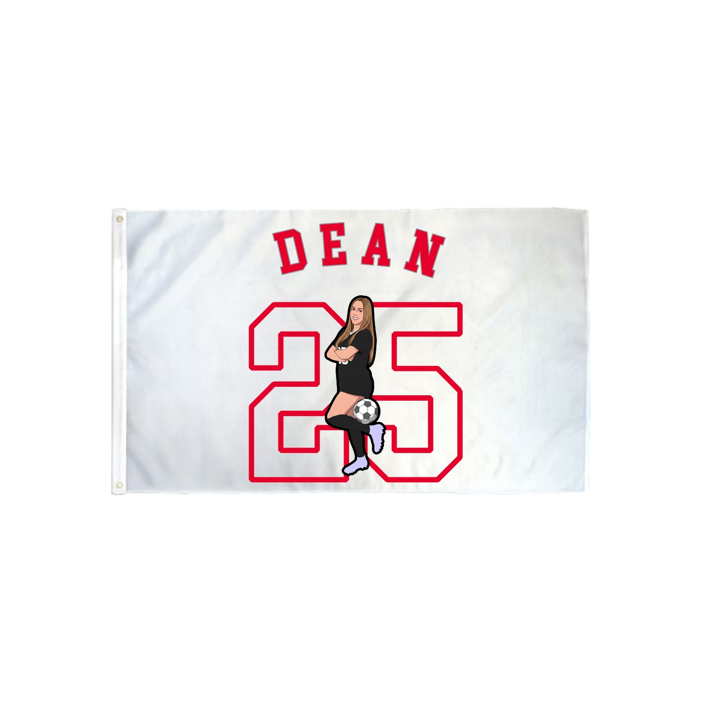 3x5 Flag — Shirsey Arch in Classic