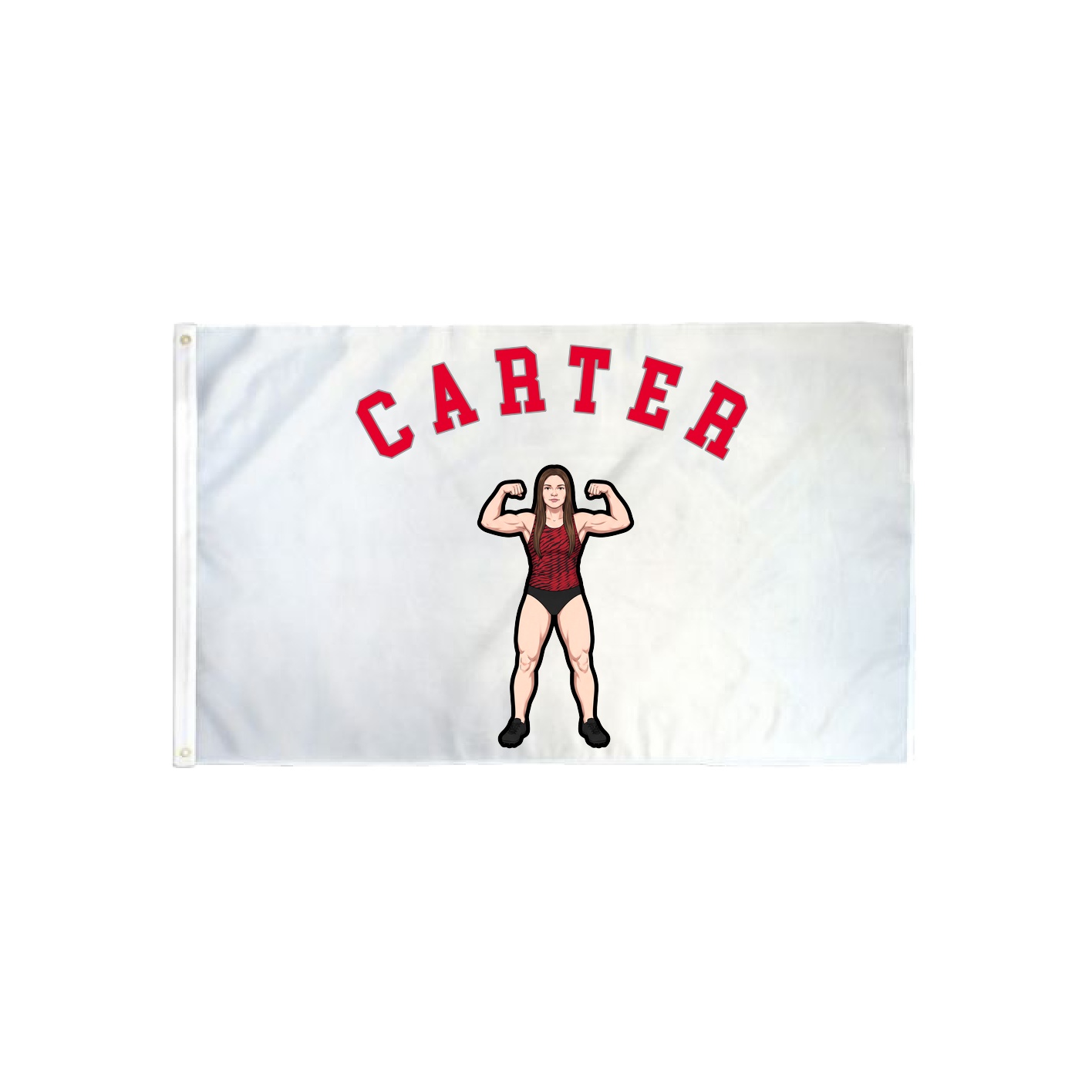 3x5 Flag — Shirsey Arch in Classic