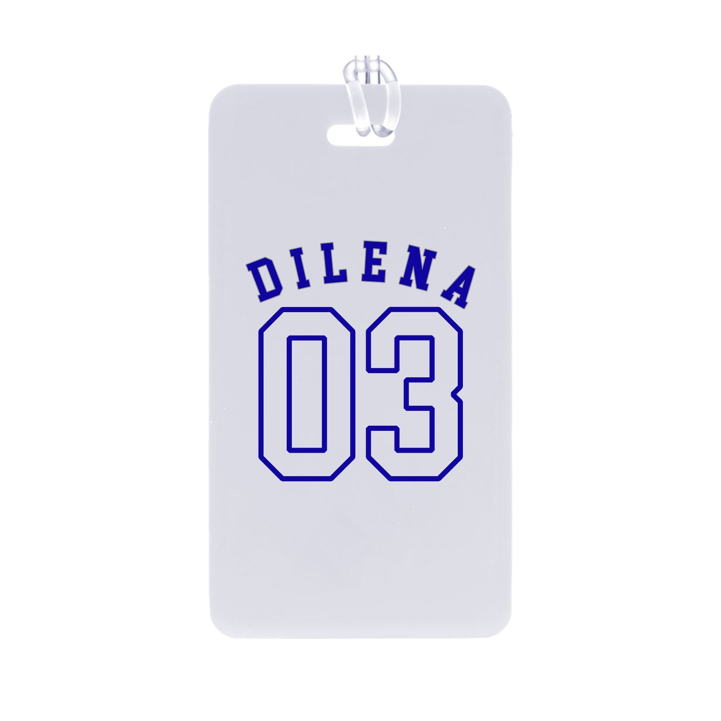 Bag Tag — Shirsey Arch in Classic