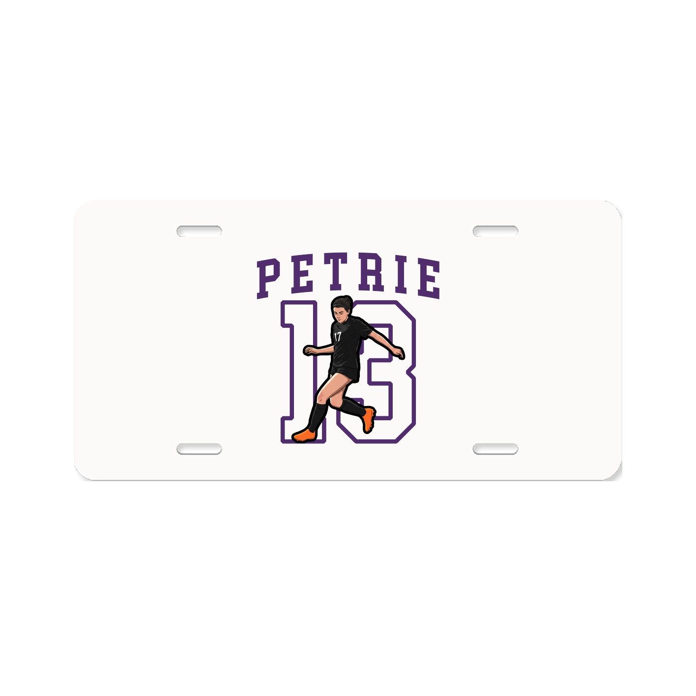 Aluminum License Plate