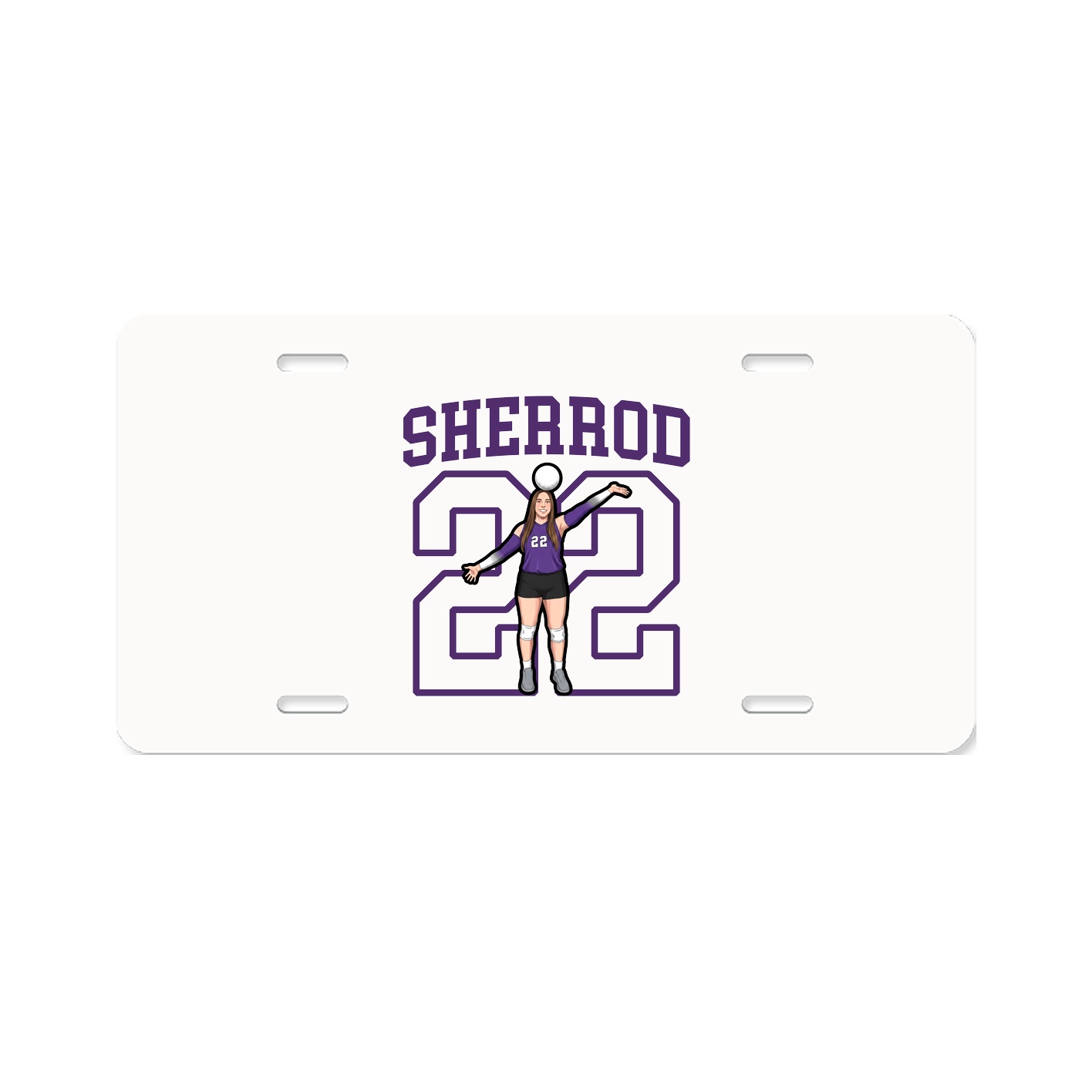 License Plate