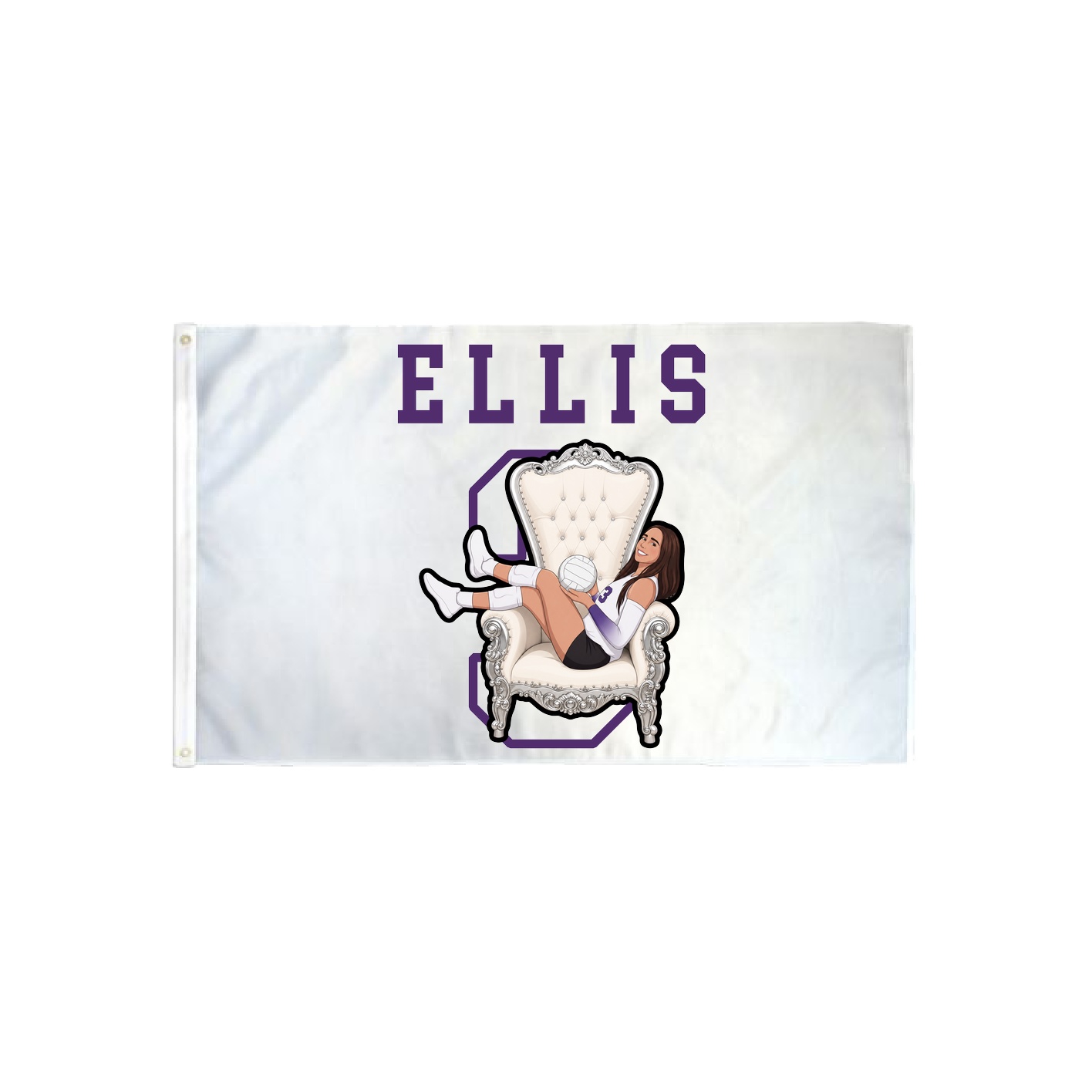 3x5 Flag — Shirsey in Classic