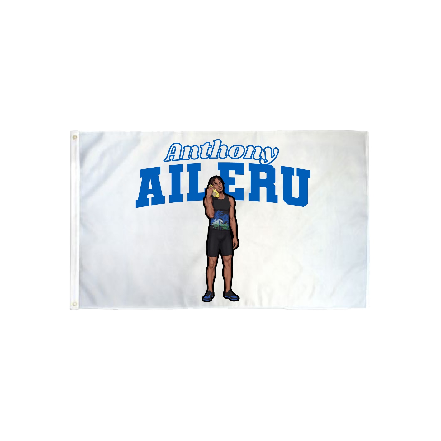 3x5 Flag — Name Arch in Classic