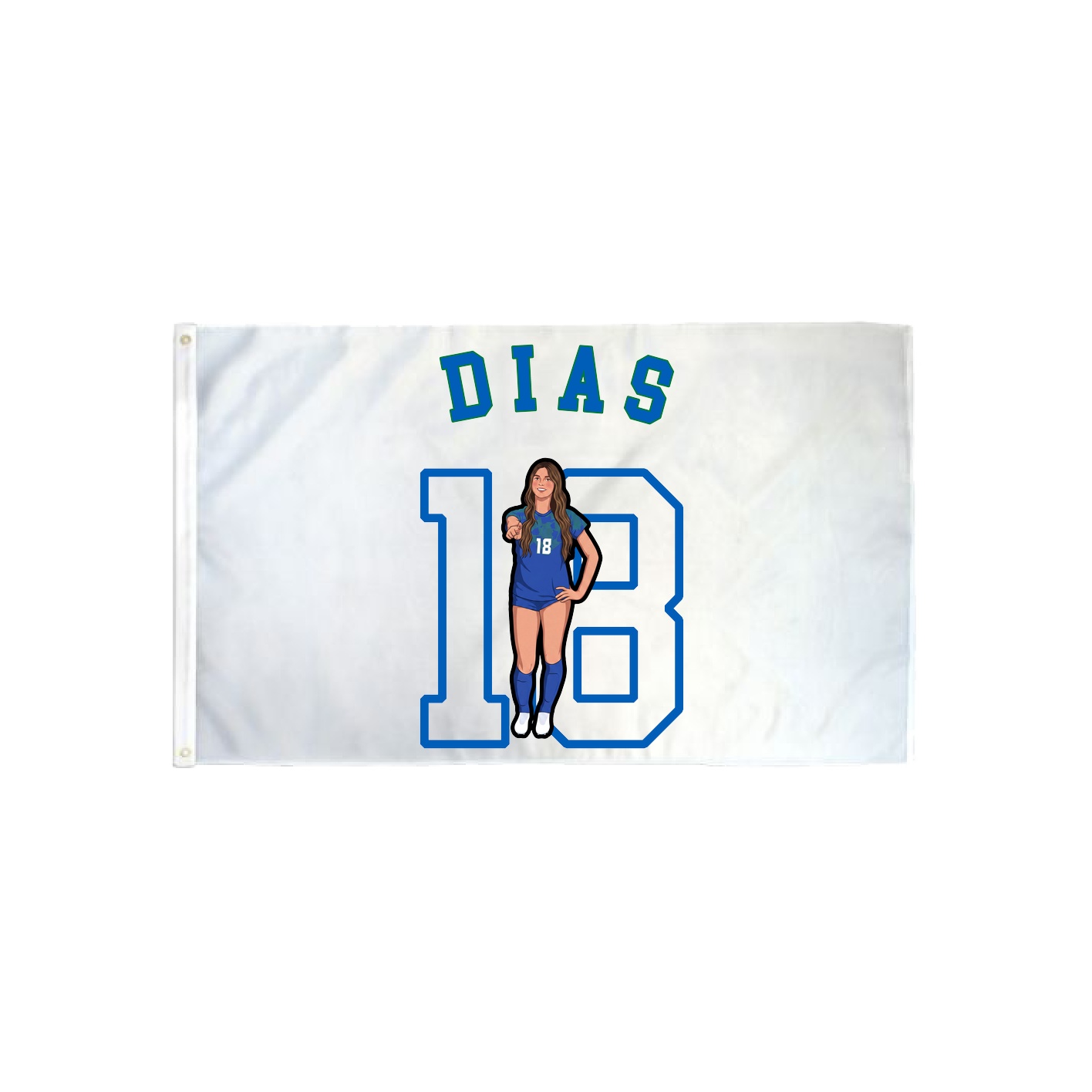 3x5 Flag — Shirsey Arch in Classic