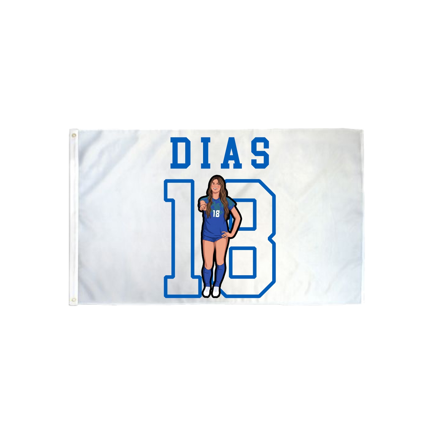 3x5 Flag — Shirsey in Classic