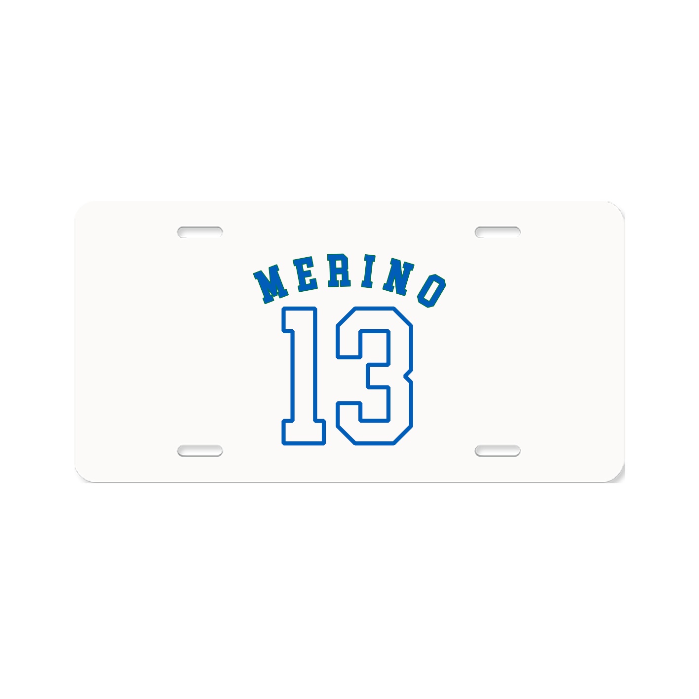 License Plate