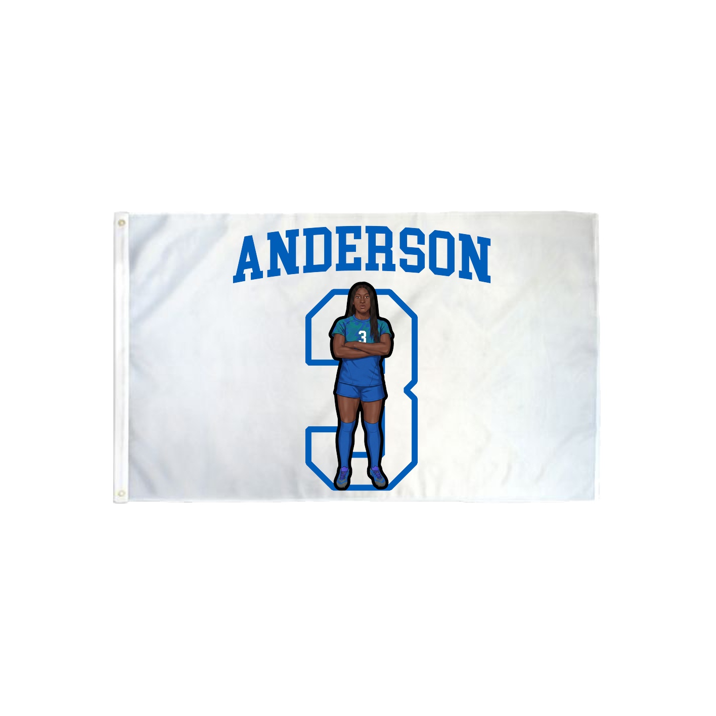 3x5 Flag — Shirsey in Classic