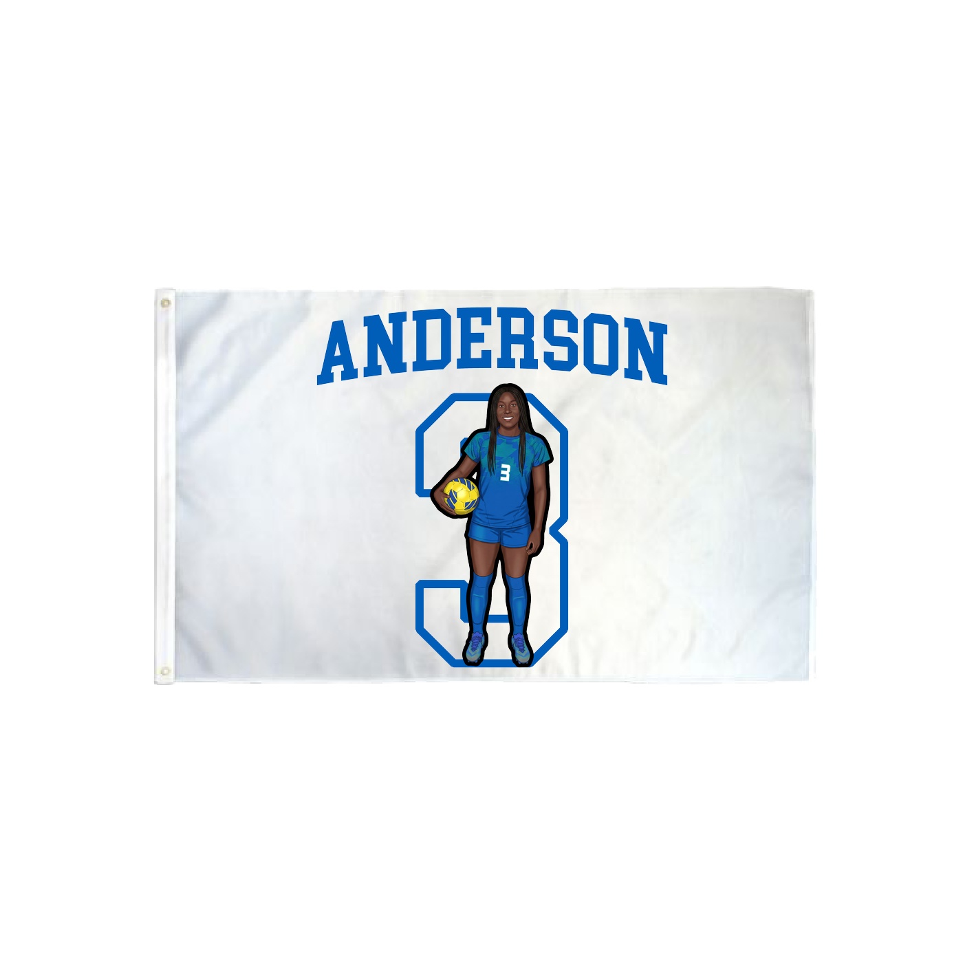 3x5 Flag — Shirsey in Classic