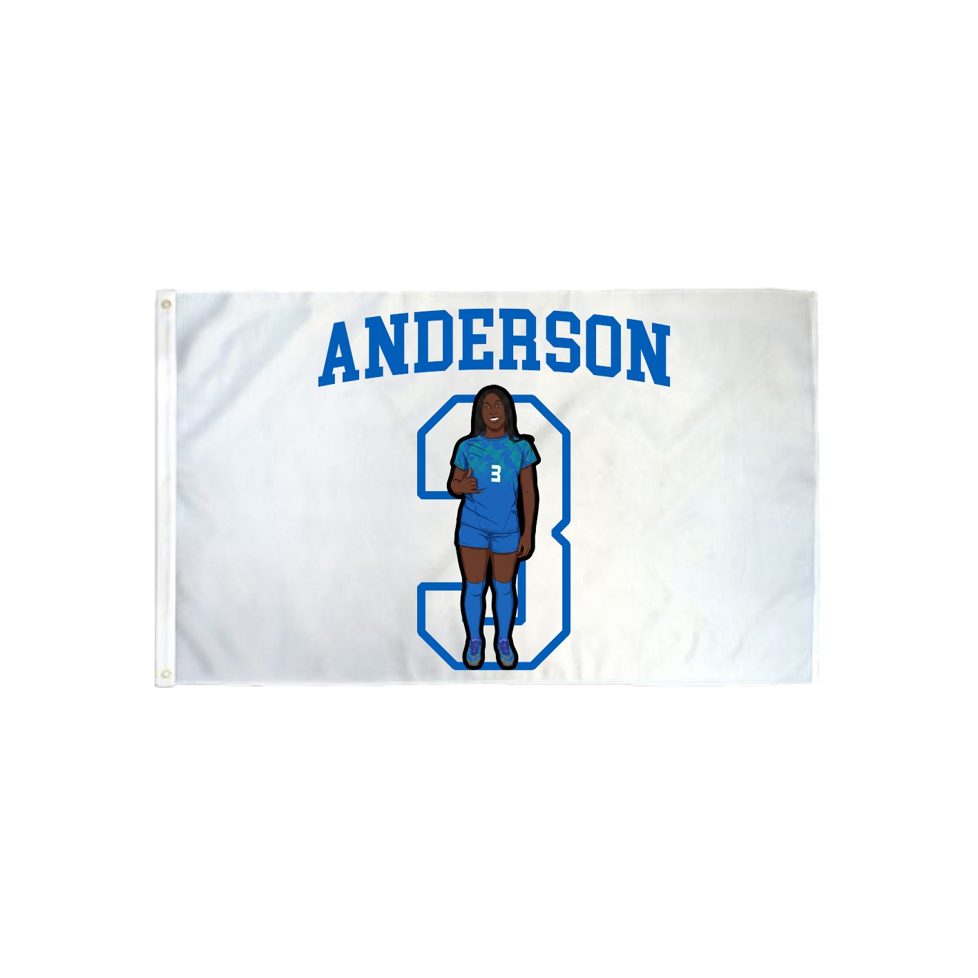 3x5 Flag — Shirsey in Classic