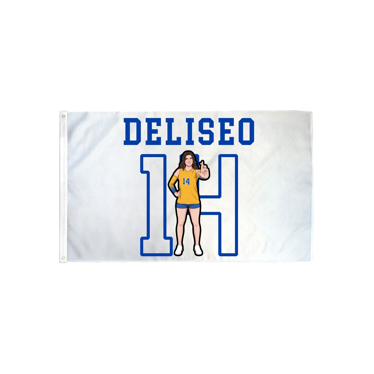 3x5 Flag — Shirsey in Classic